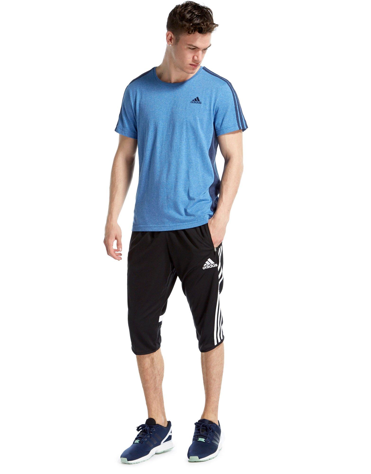 adidas Condivo 14 3/4 Training Pants