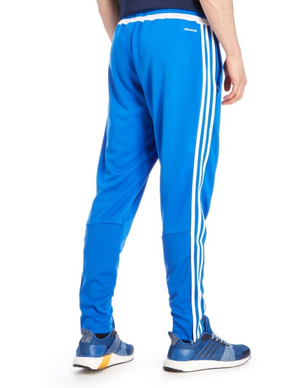Штаны спортивные мужские адидас синие