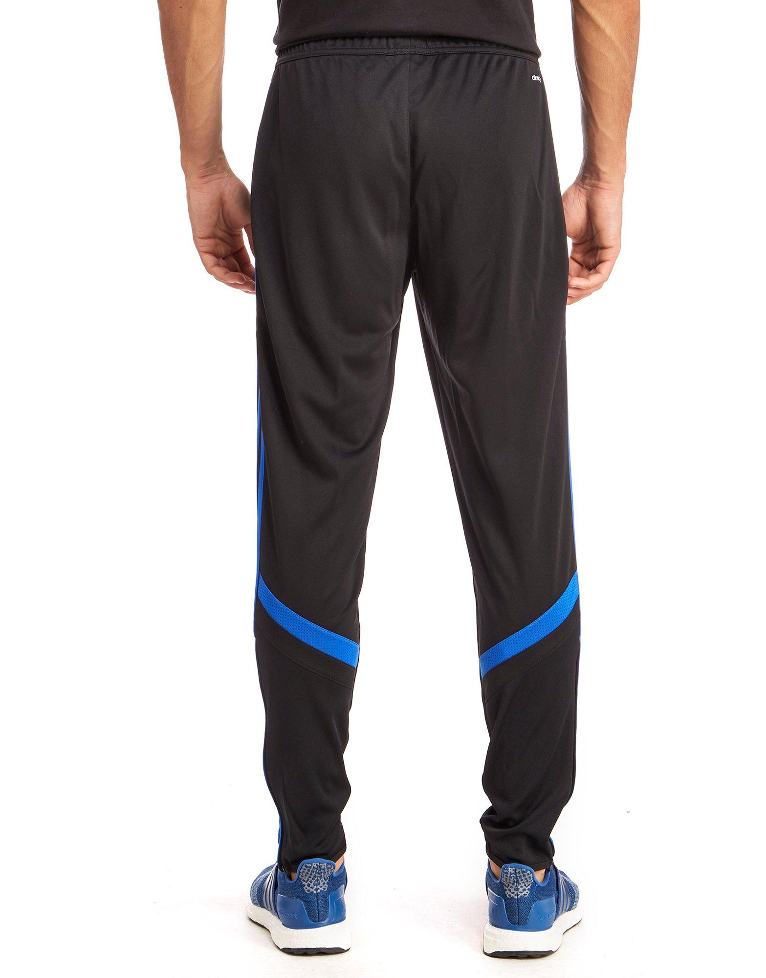 Adidas condivo poly training pants black sales