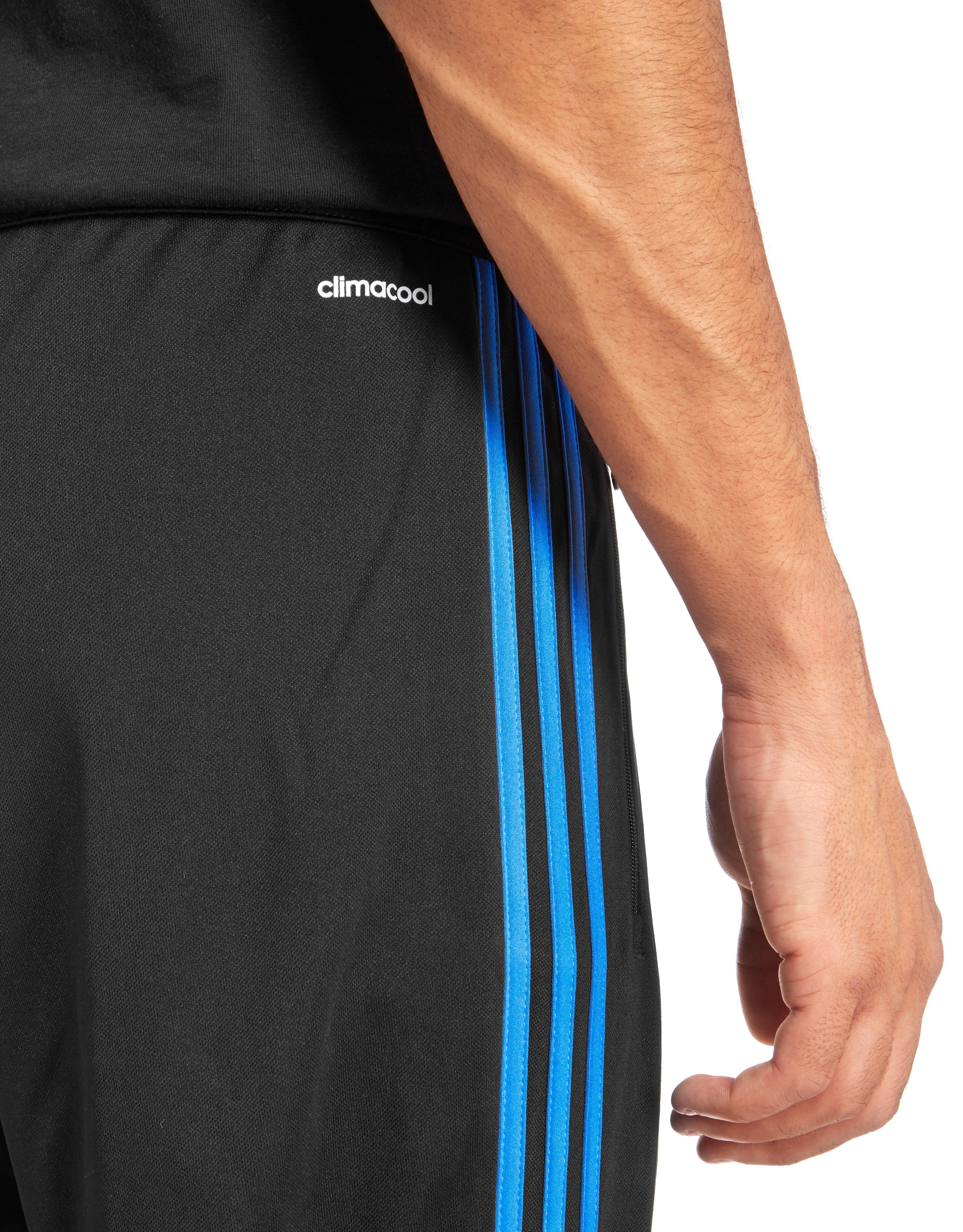 adidas Condivo Poly Training Pants