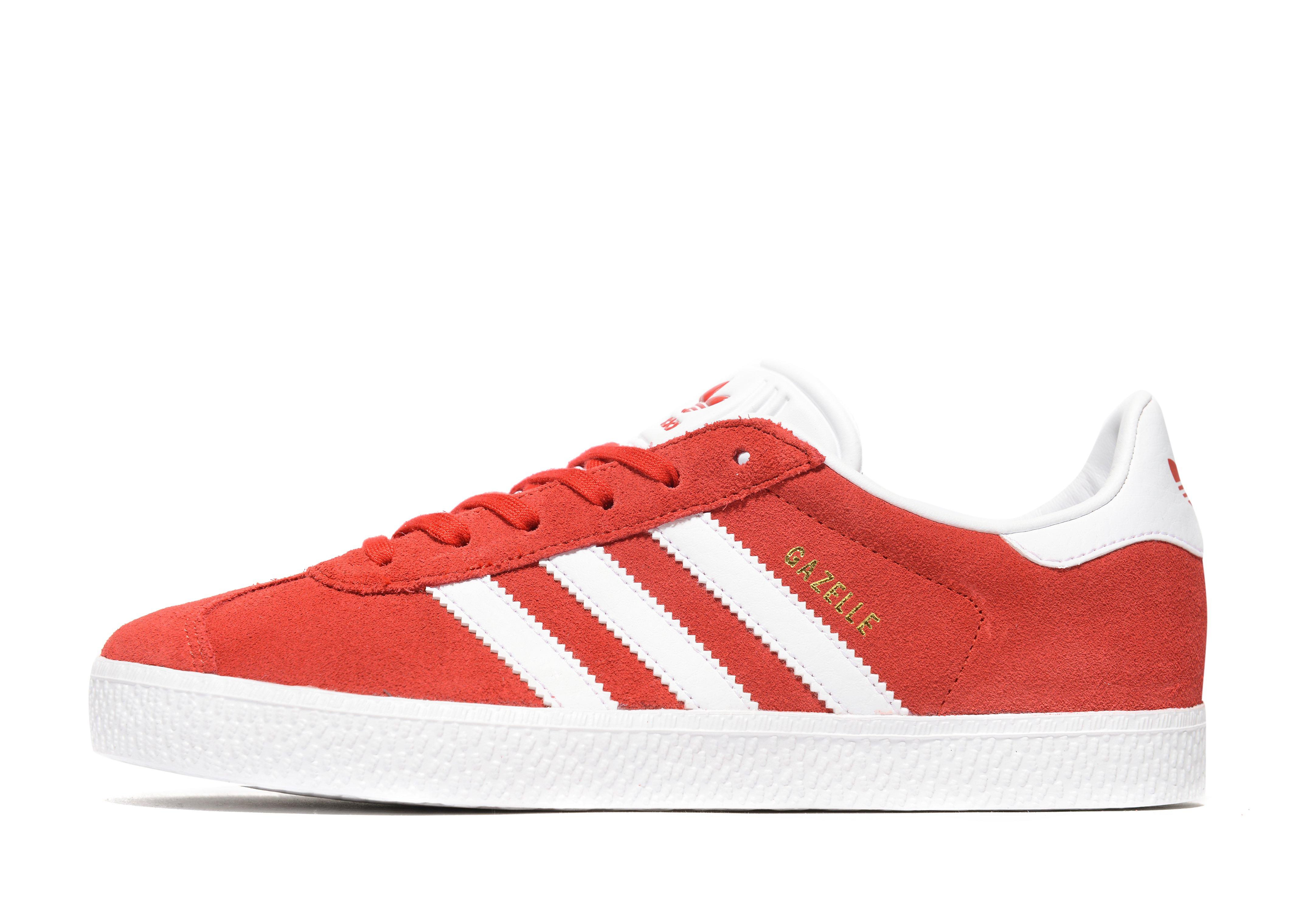 gazelle rouge junior