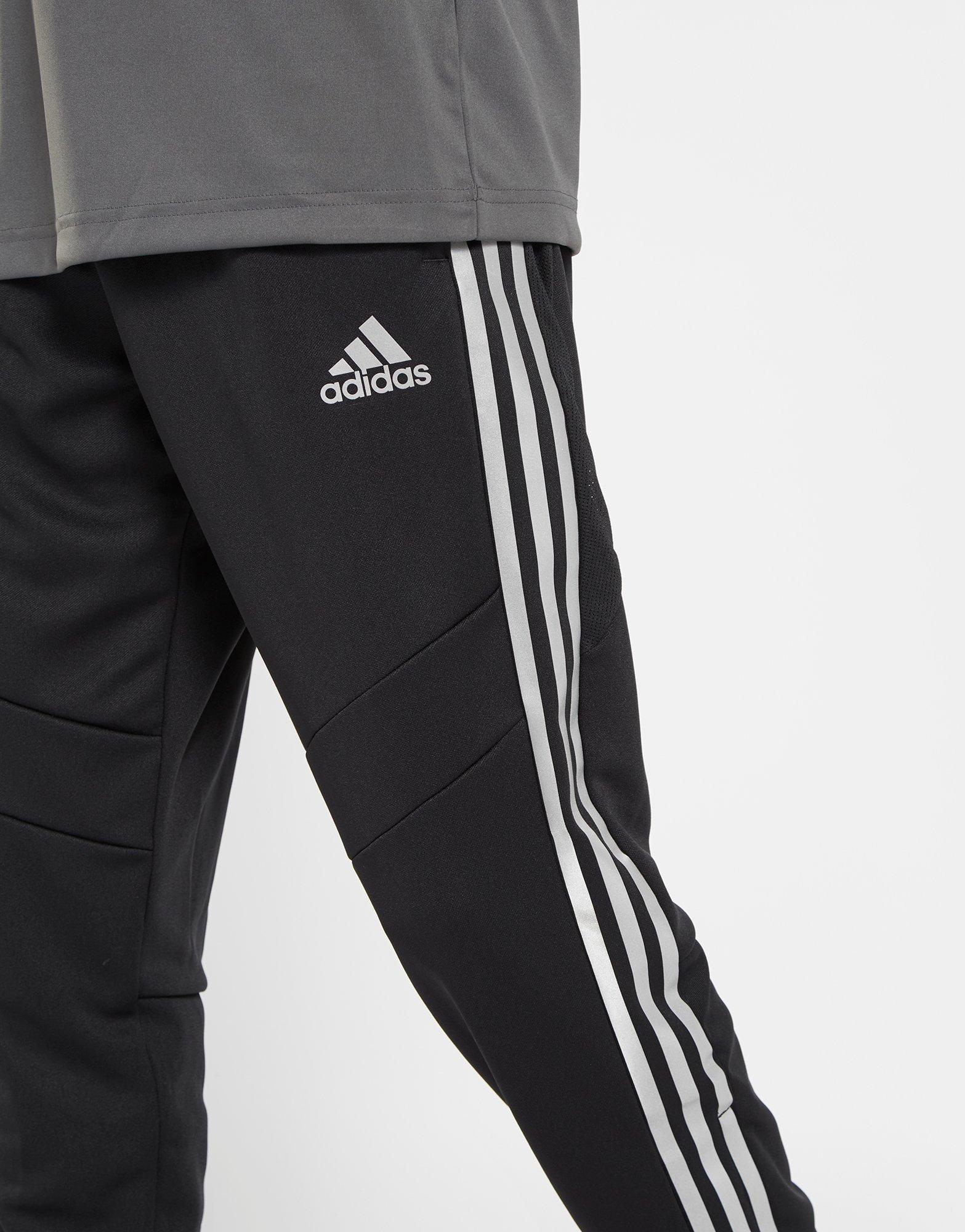 tiro 19 track pants