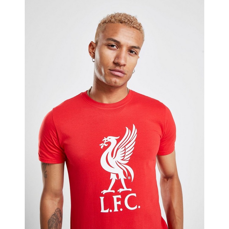 Buy Red Official Team Liverpool FC Crest T-Shirt | JD Sports | JD ...