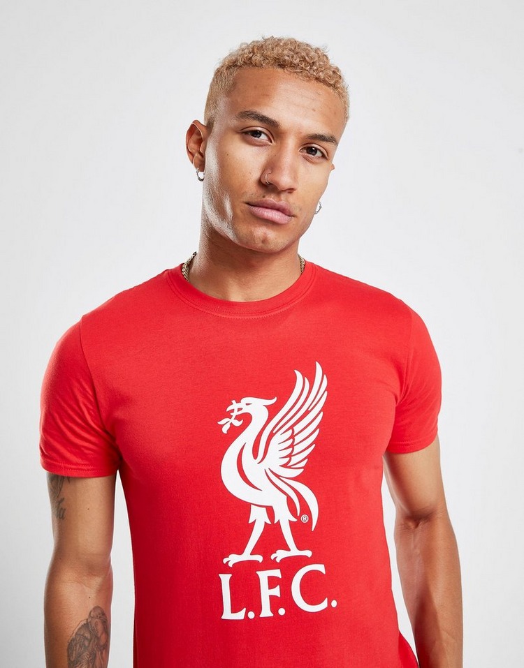 Buy Red Official Team Liverpool FC Crest T-Shirt | JD Sports | JD ...