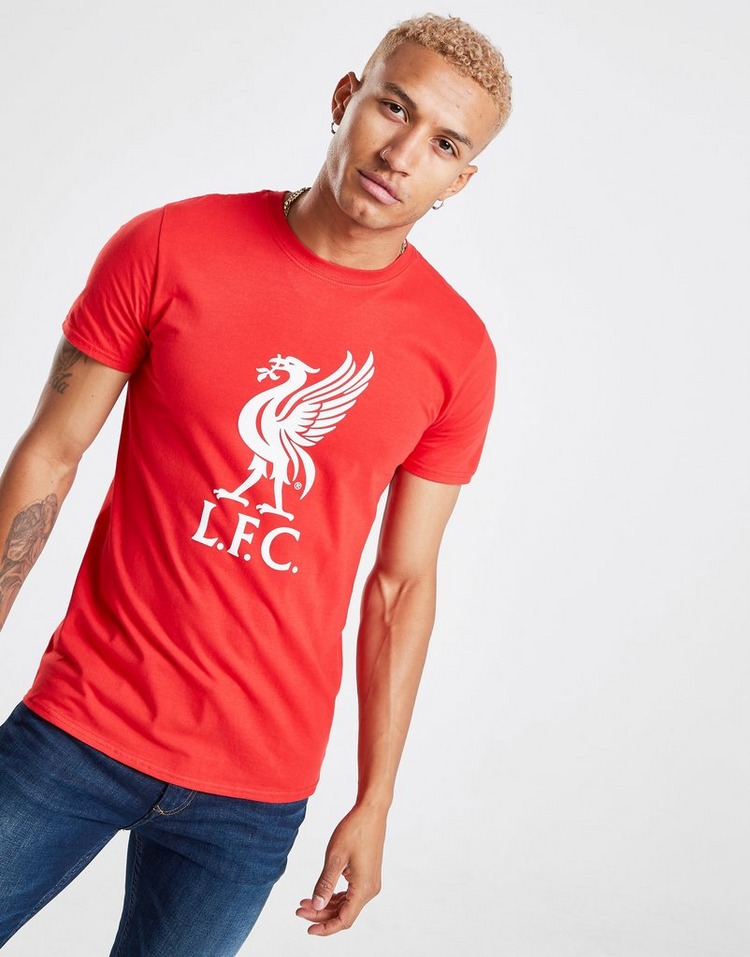 Buy Red Official Team Liverpool FC Crest T-Shirt | JD Sports | JD ...