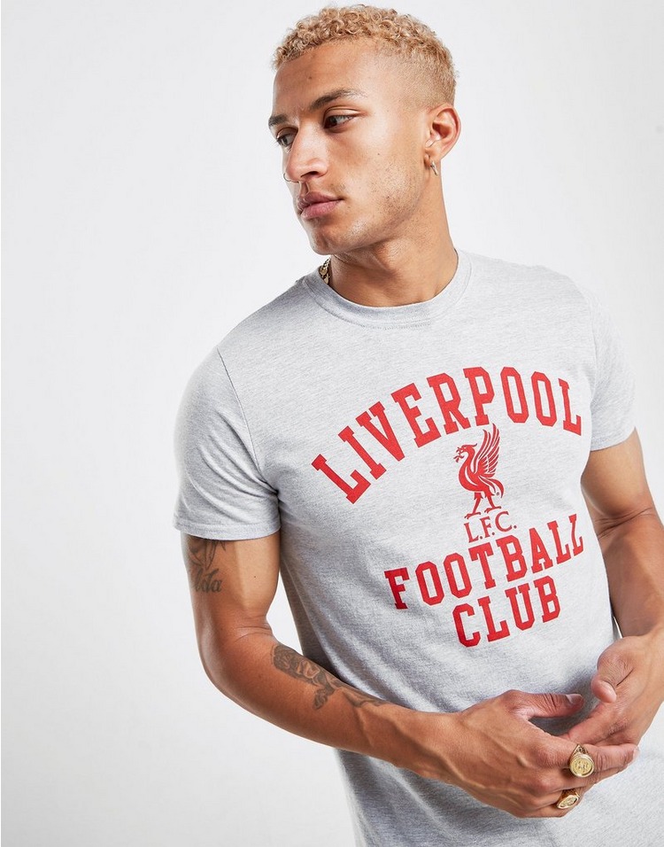 Buy Grey Official Team Liverpool FC Club T-Shirt | JD Sports | JD ...
