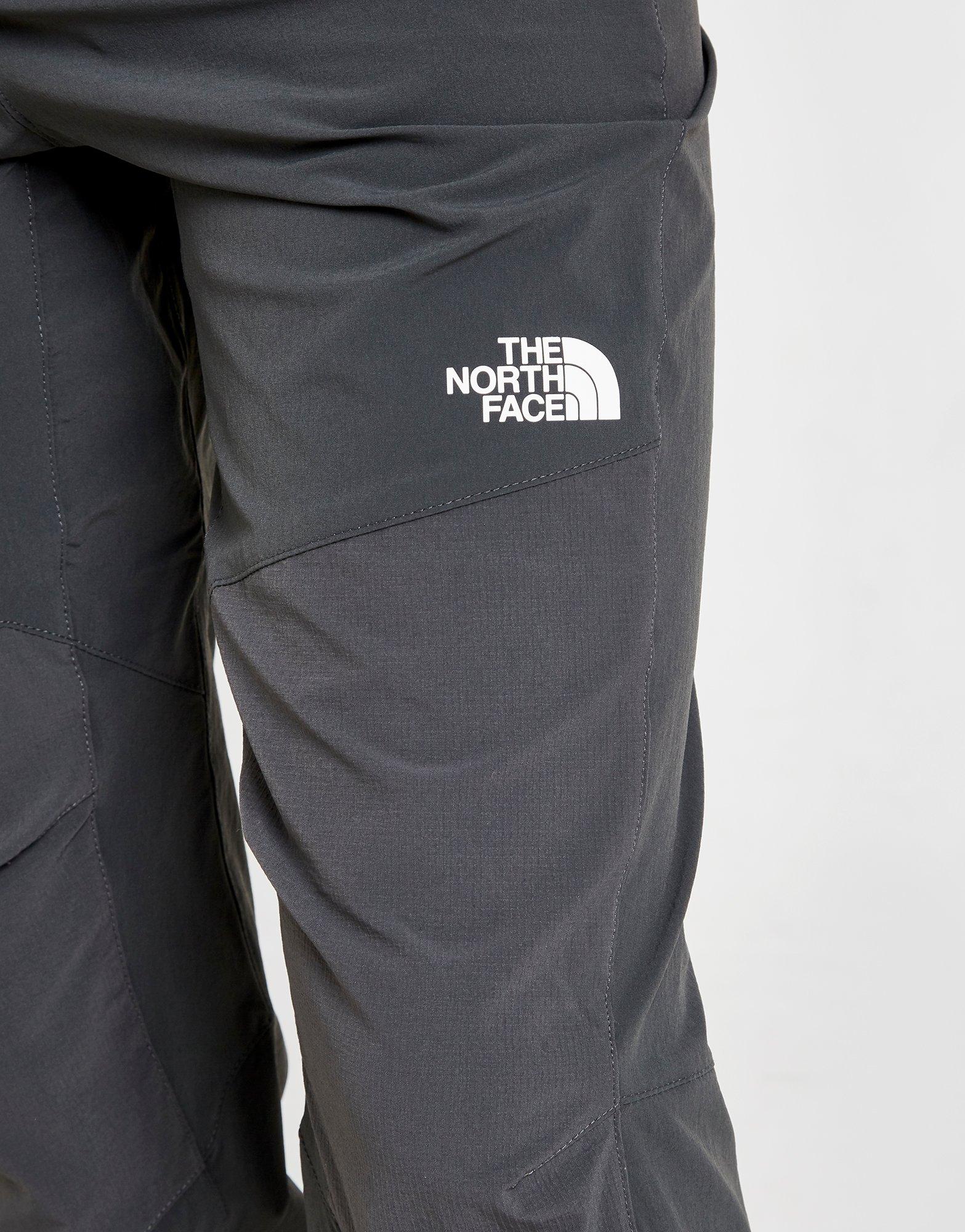 grey north face cargo pants