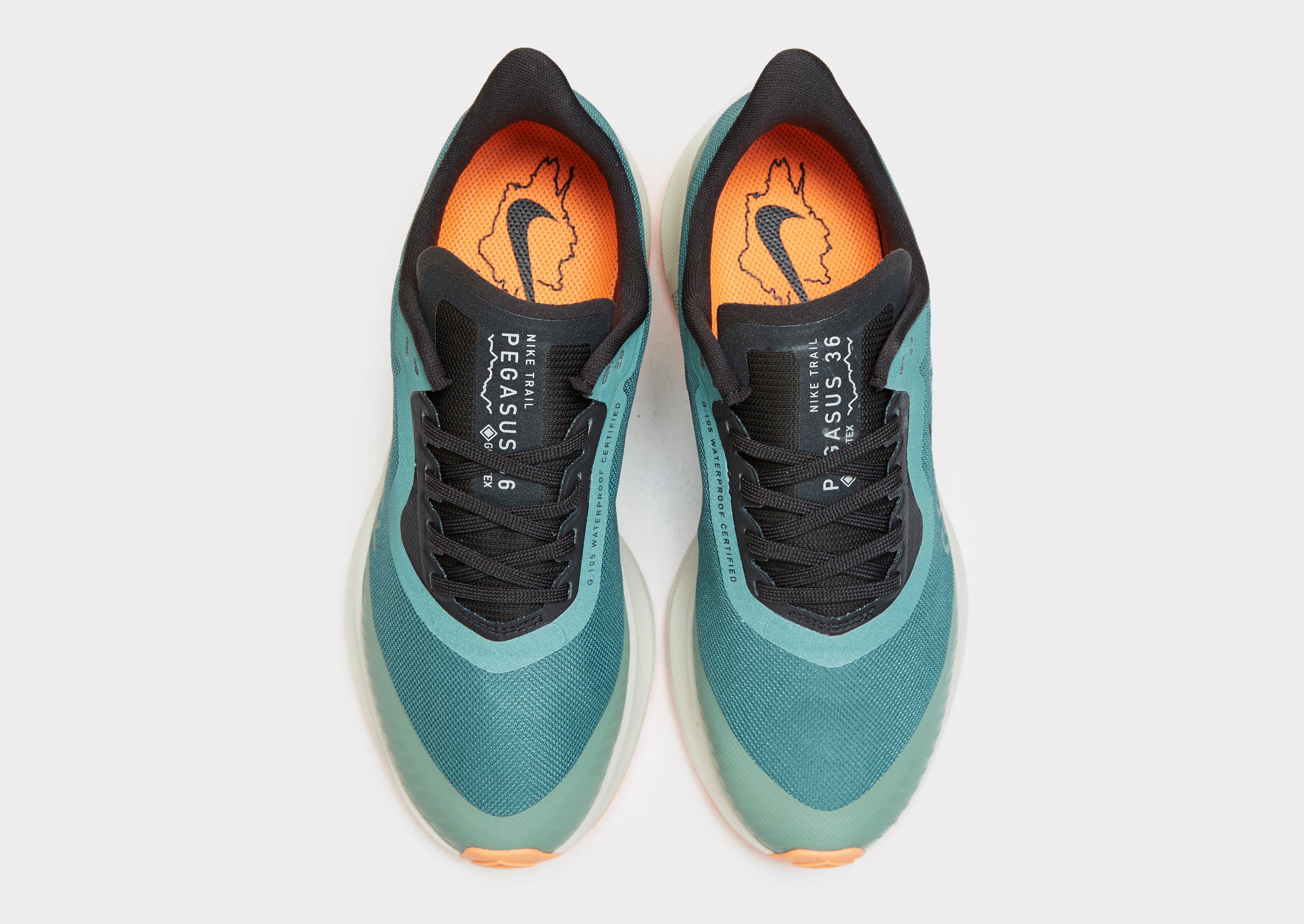 nike pegasus trail mujer