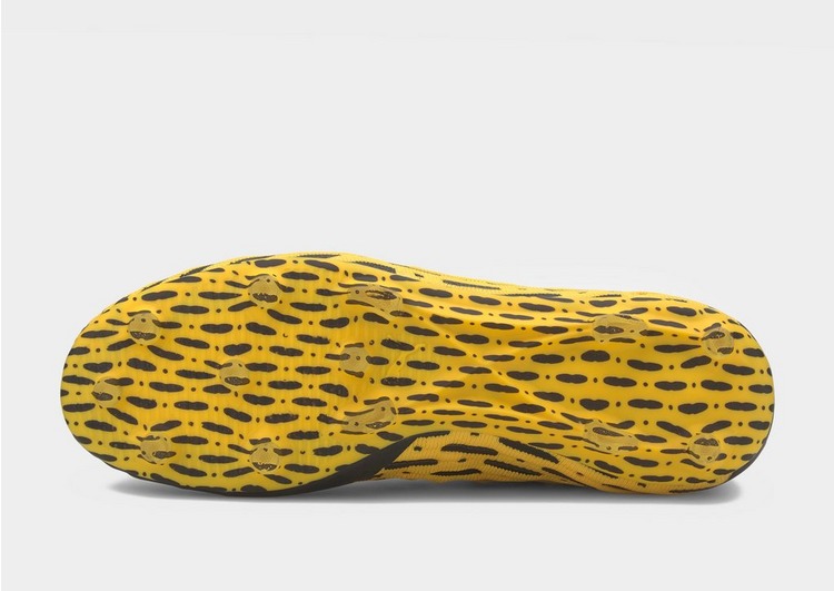 PUMA Spark Future 5.1 FG