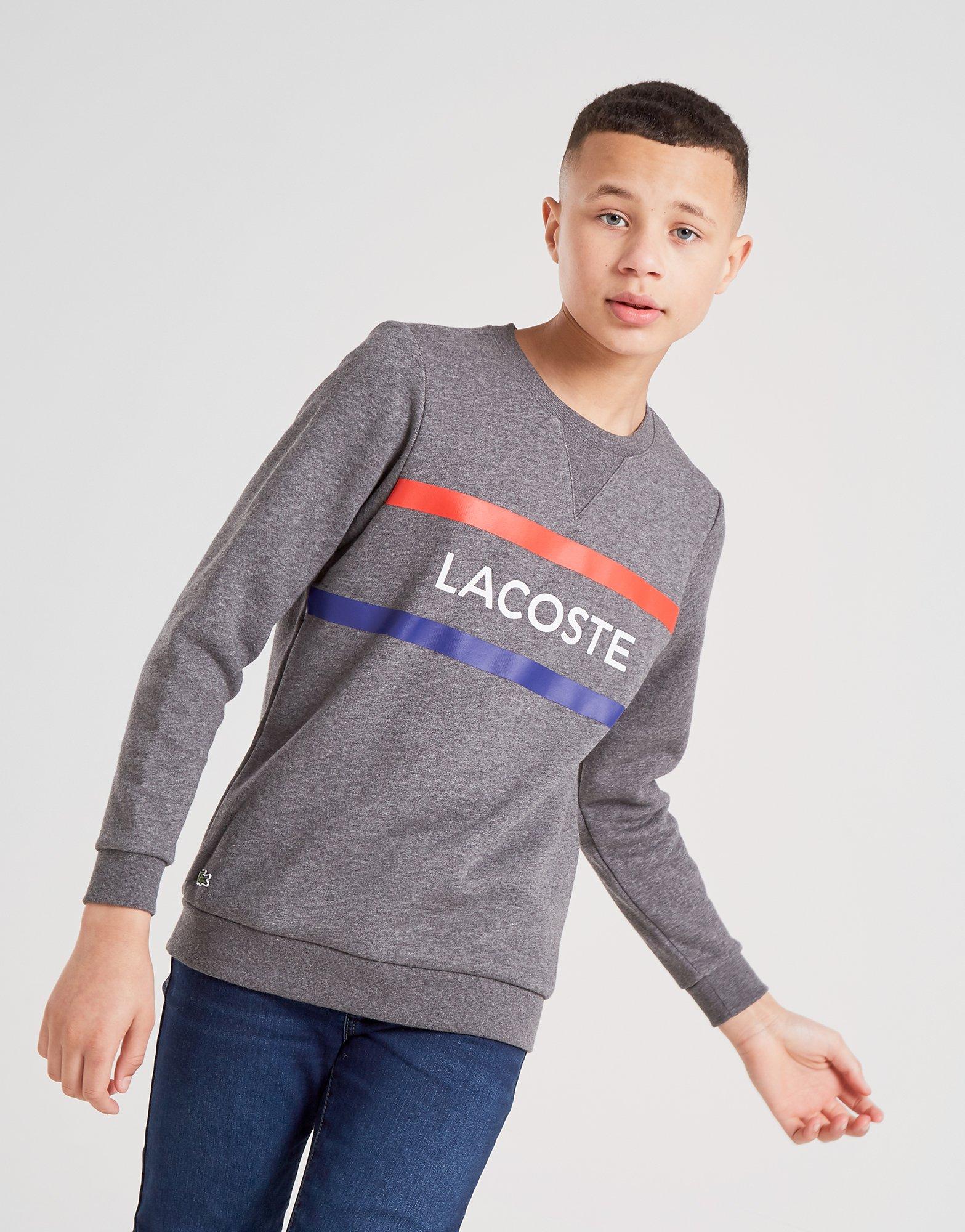 felpa lacoste