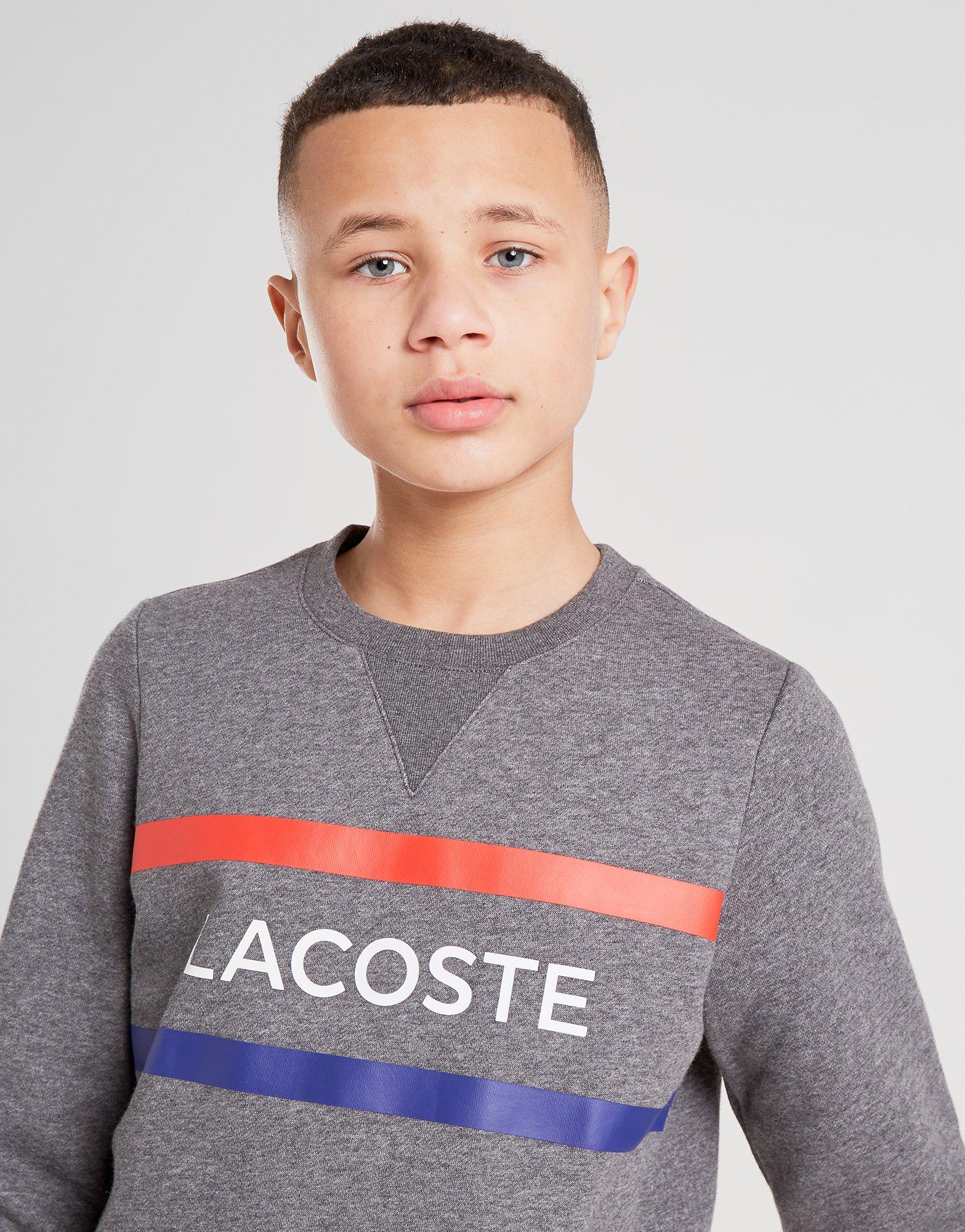 lacoste sweatshirt junior