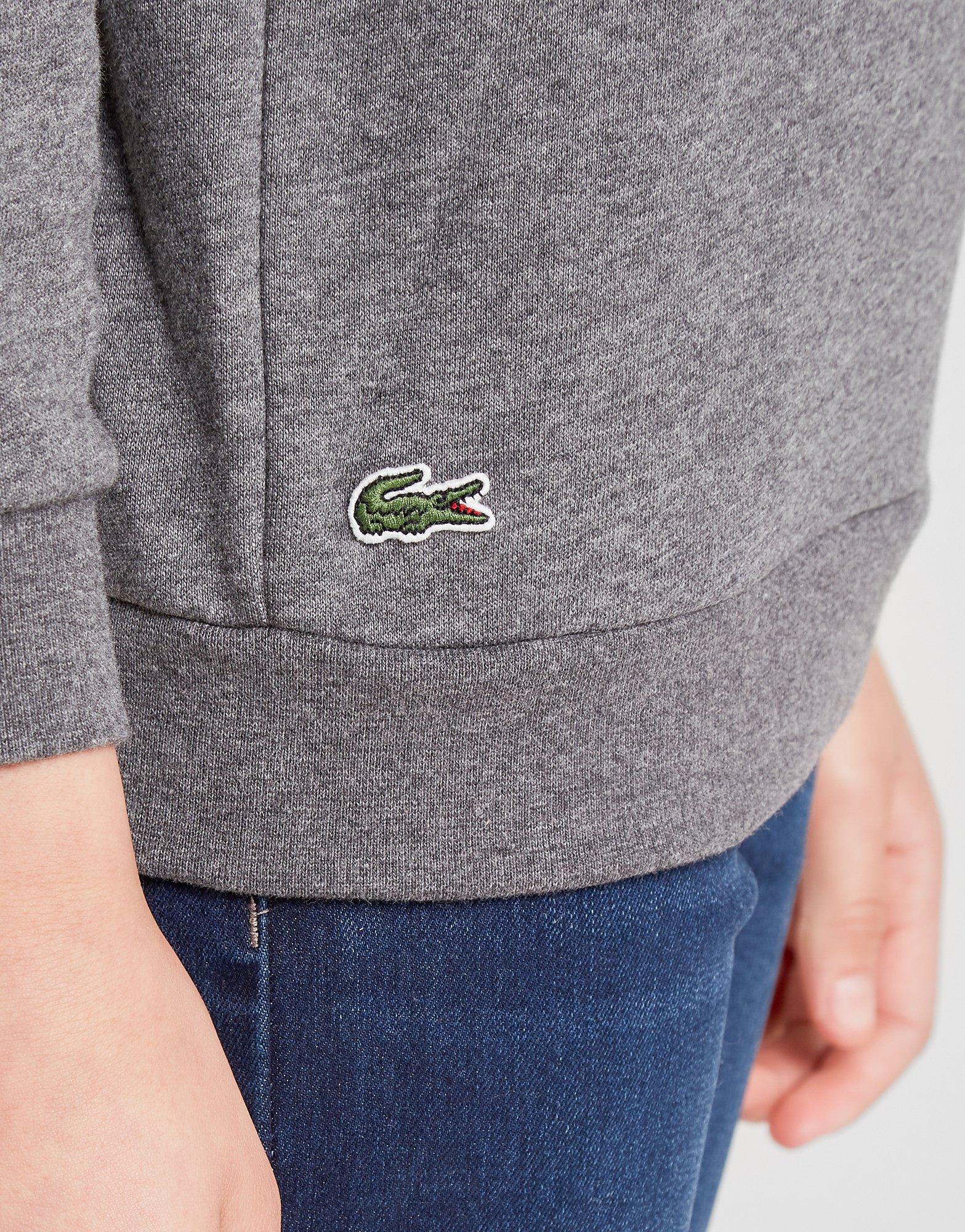 lacoste sweatshirt junior