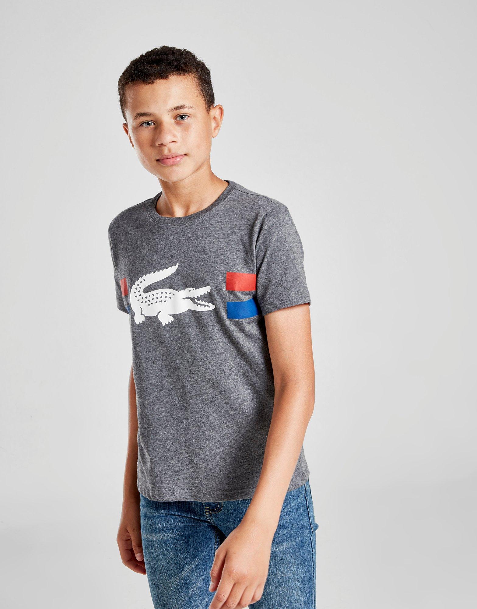 lacoste tee shirts