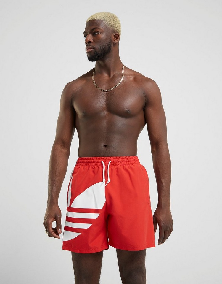 adidas originals swimming shorts