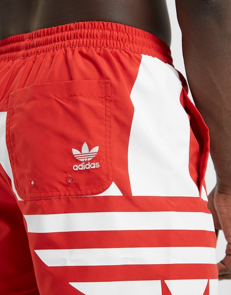 adidas womens swim shorts