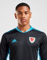 adidas Wales 2020 Away Goalkeeper Shirt