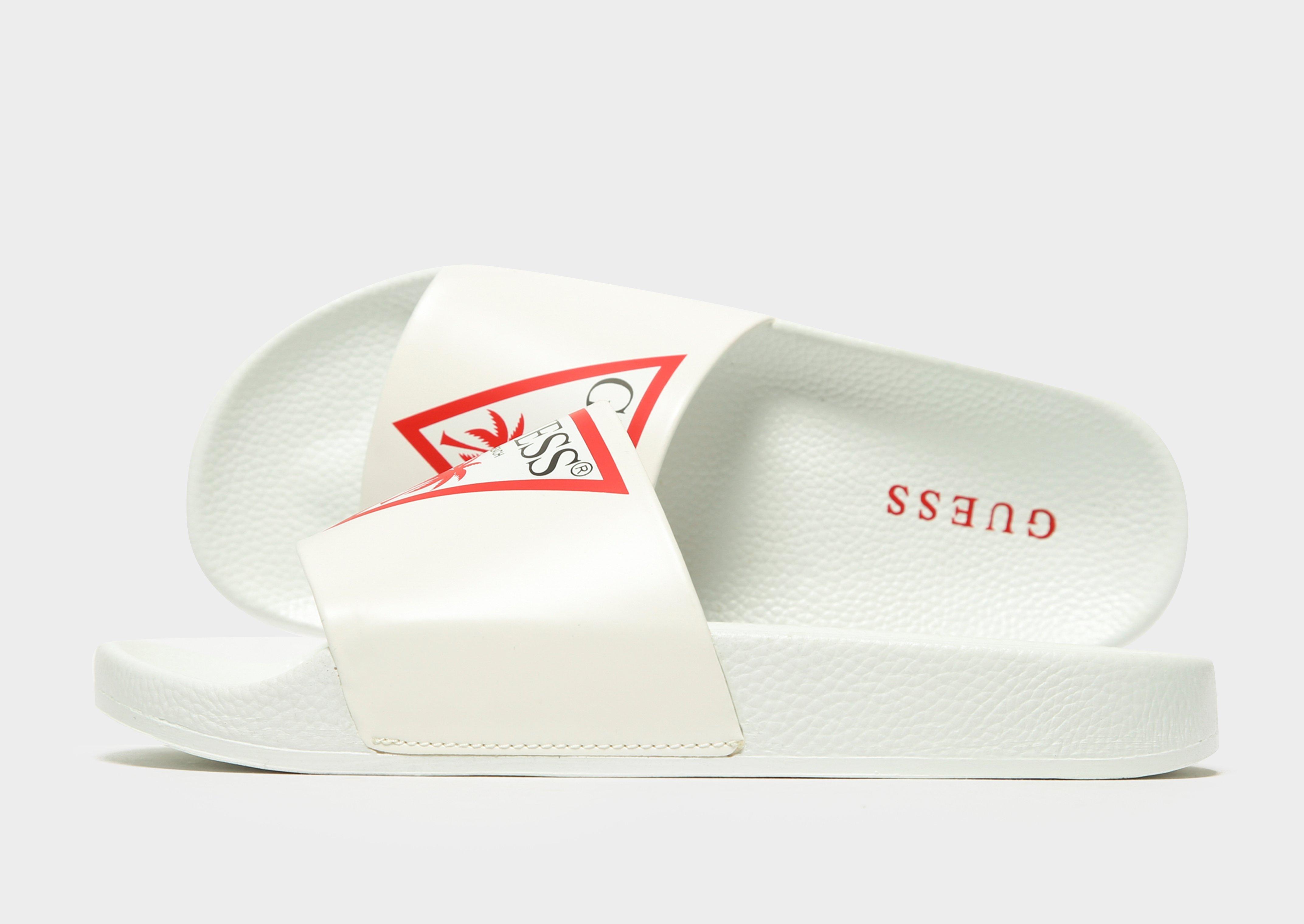 guess slides white