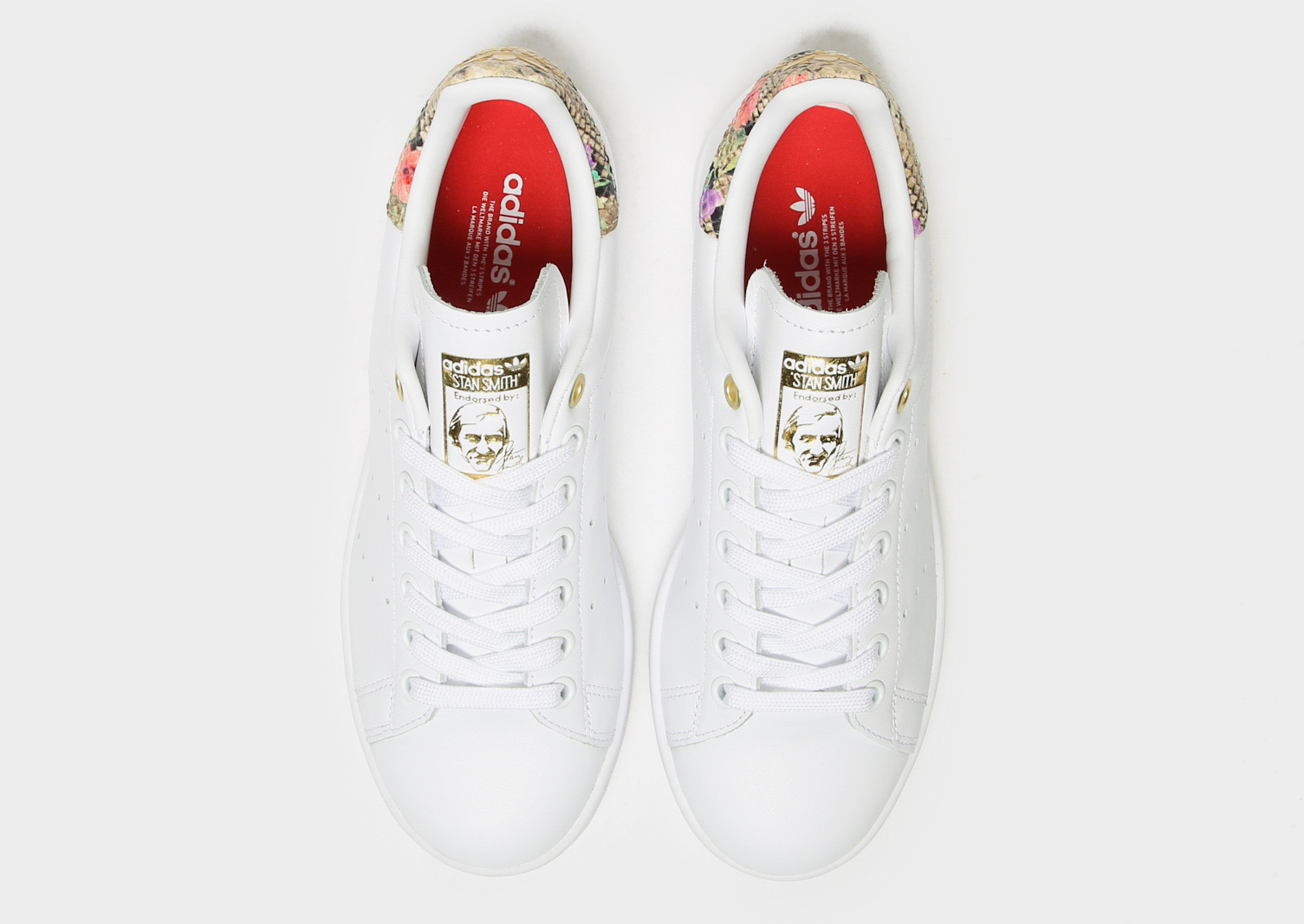 stan smith donna marrone
