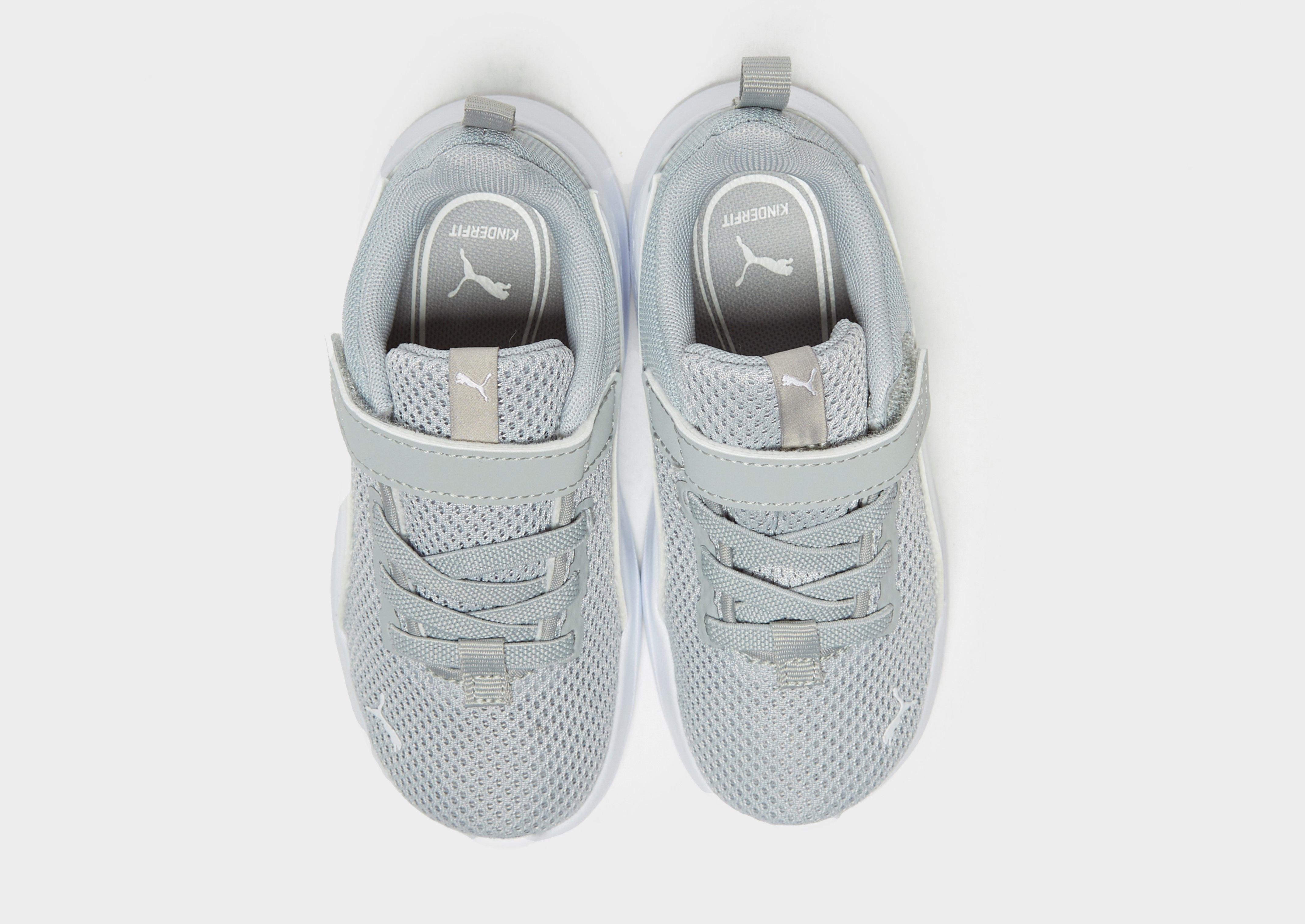 puma neonato