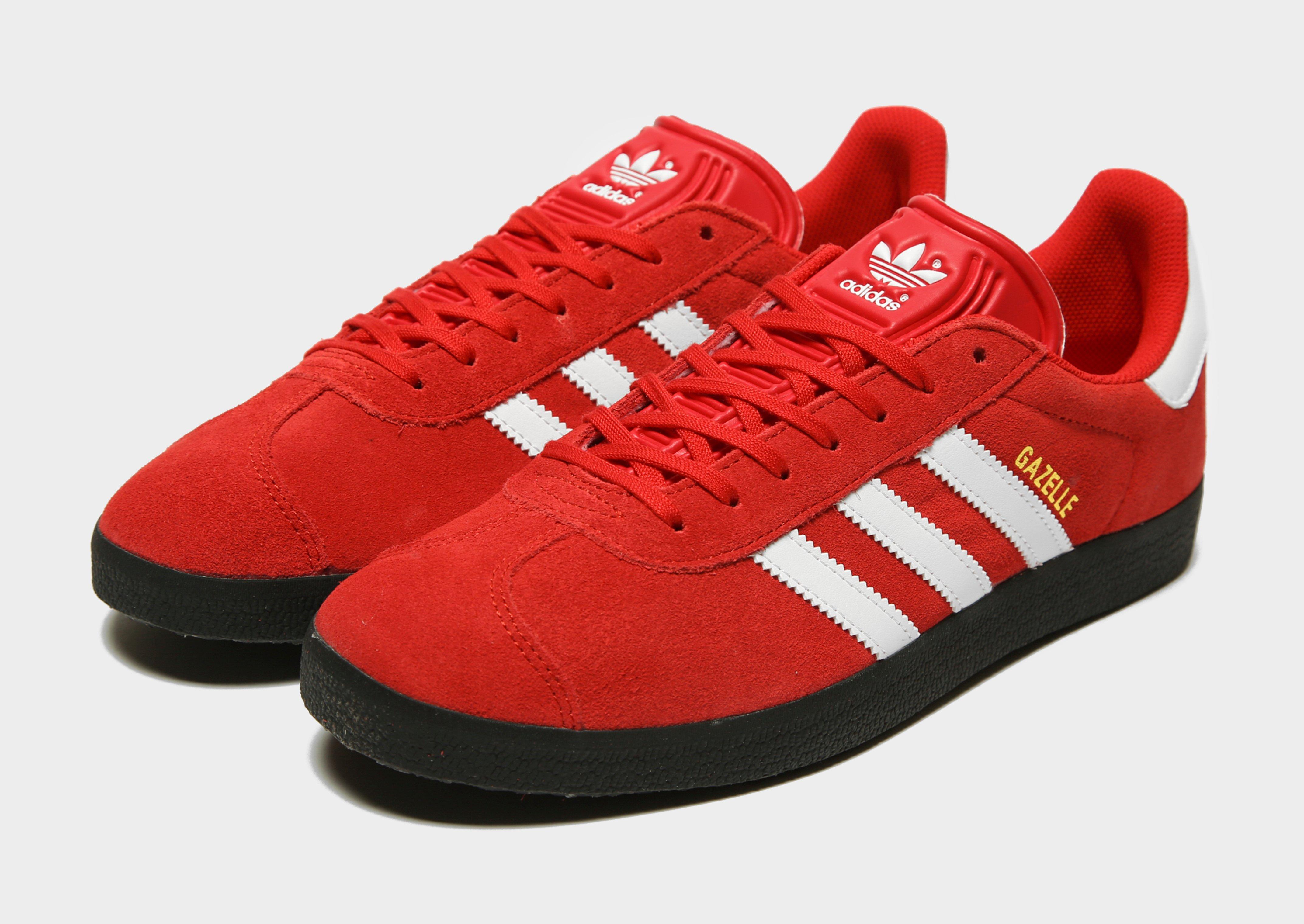 liverpool gazelles