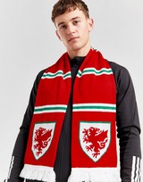 Official Team Wales-kaulahuivi