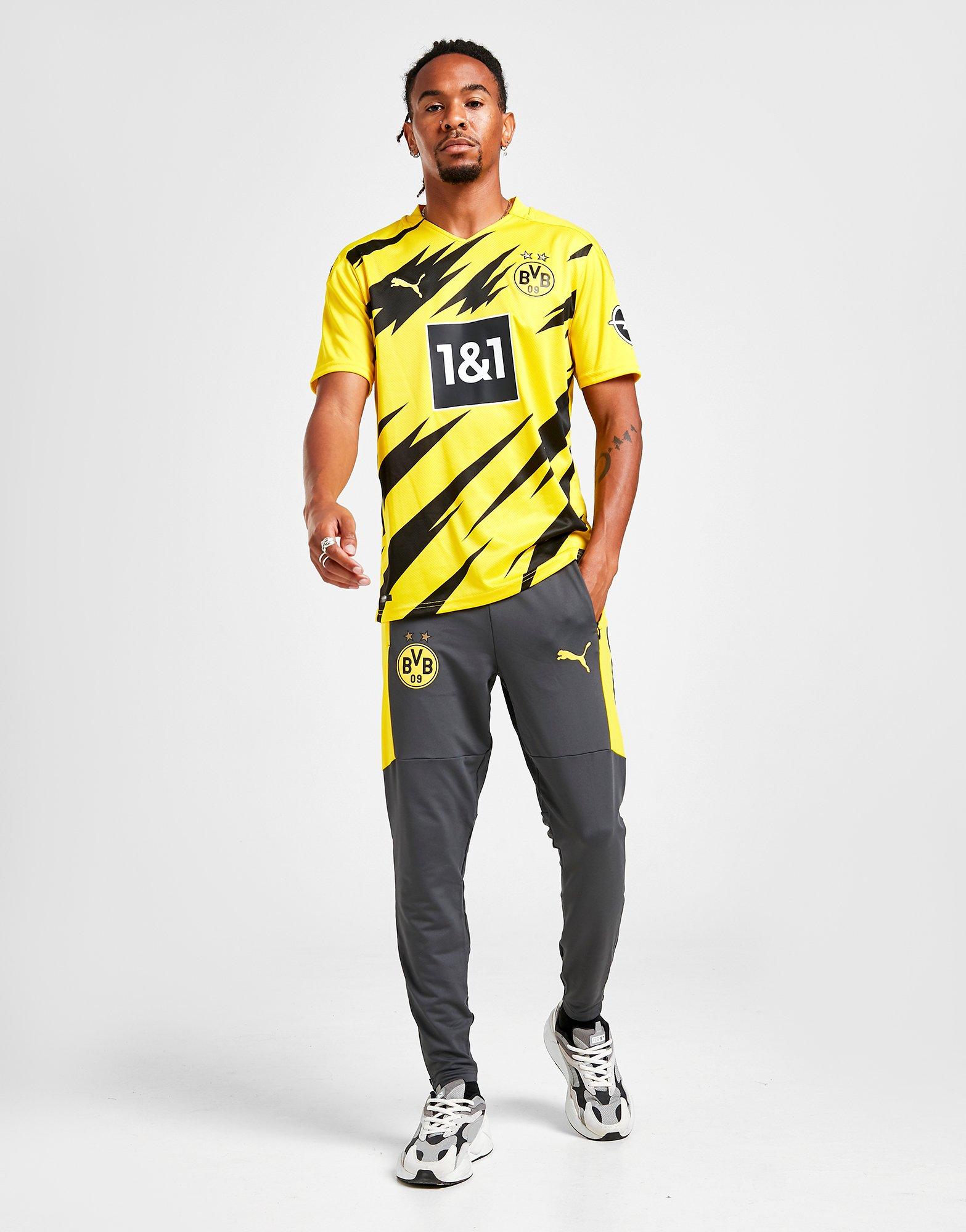 dortmund training pants