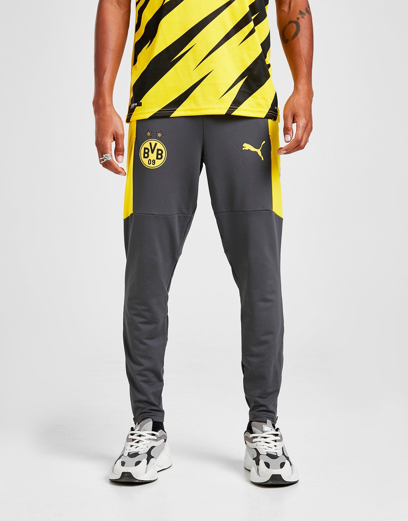 dortmund training pants