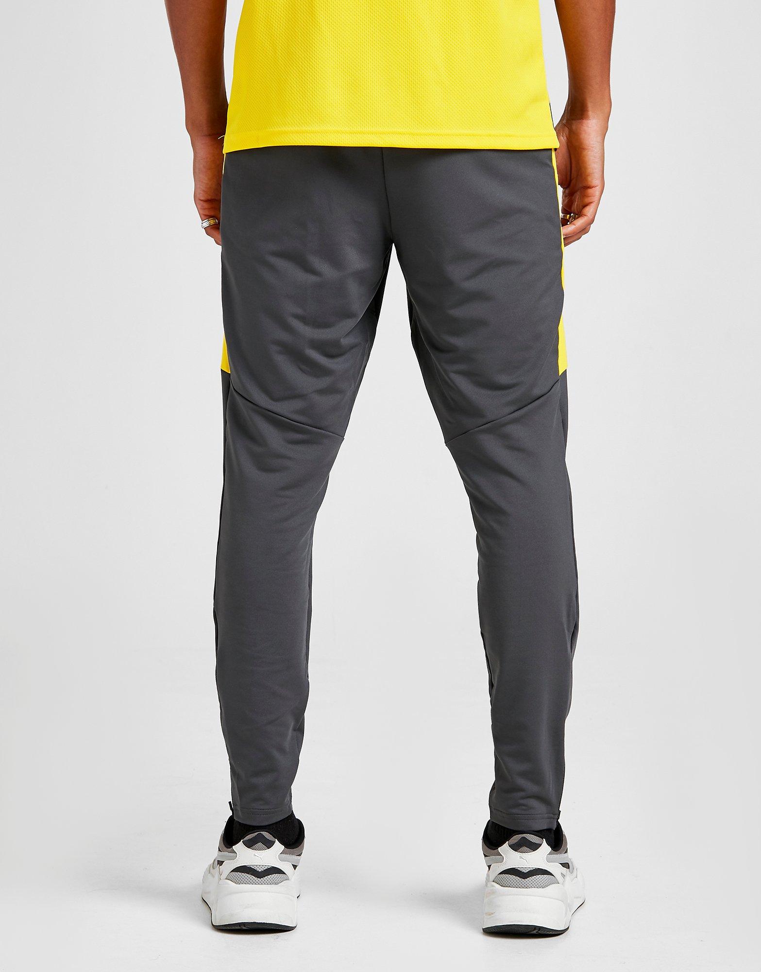dortmund tracksuit bottoms