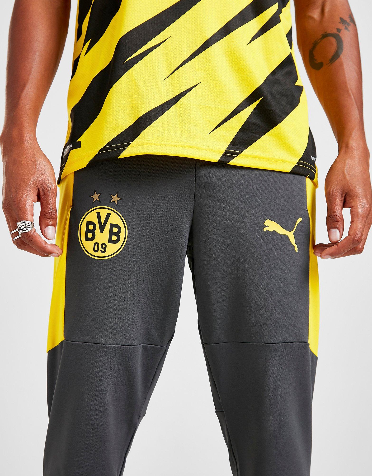 dortmund training pants