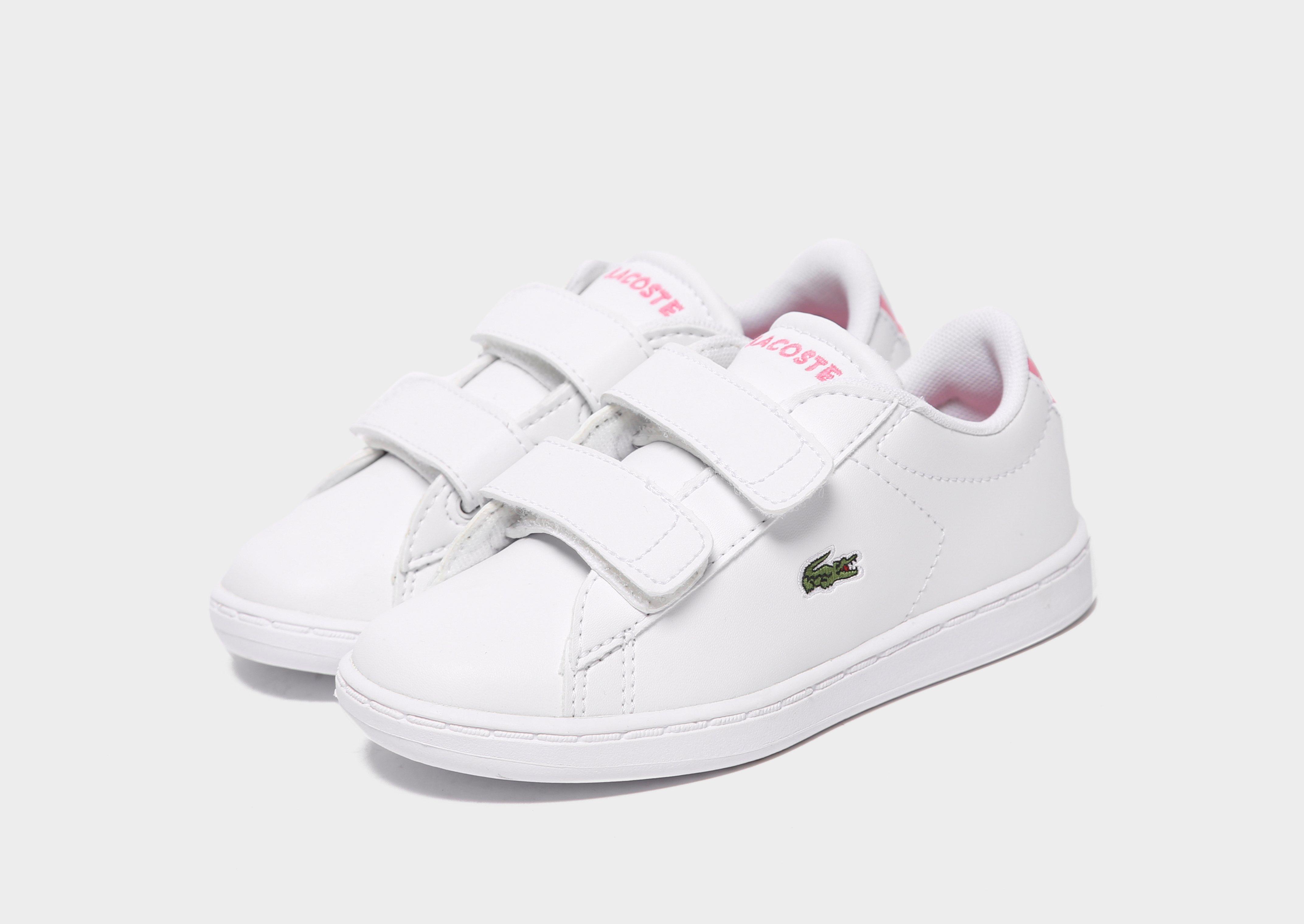 basket lacoste bebe