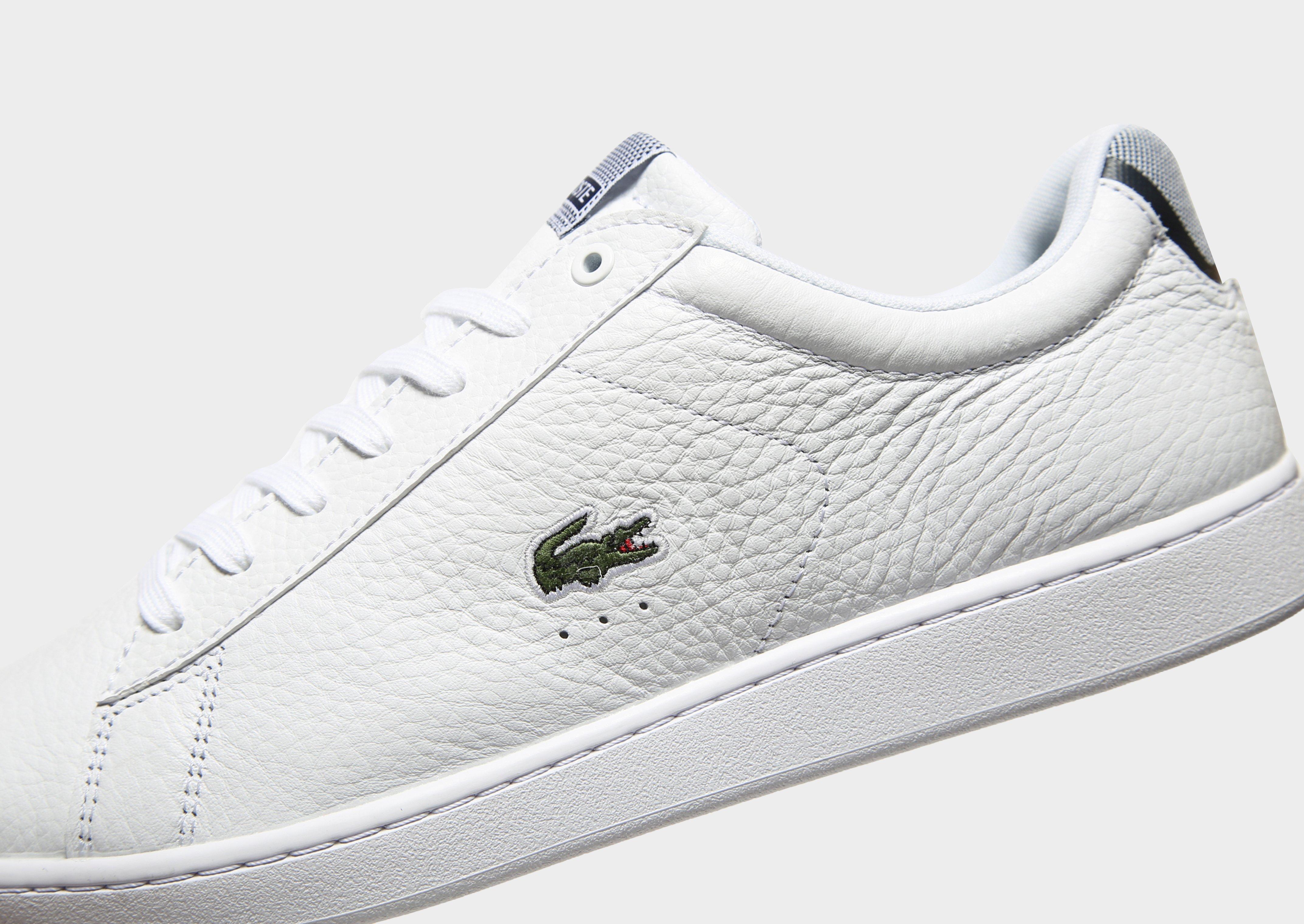 lacoste shoes carnaby evo