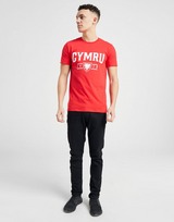 Official Team Wales Cymru Short Sleeve T-Shirt