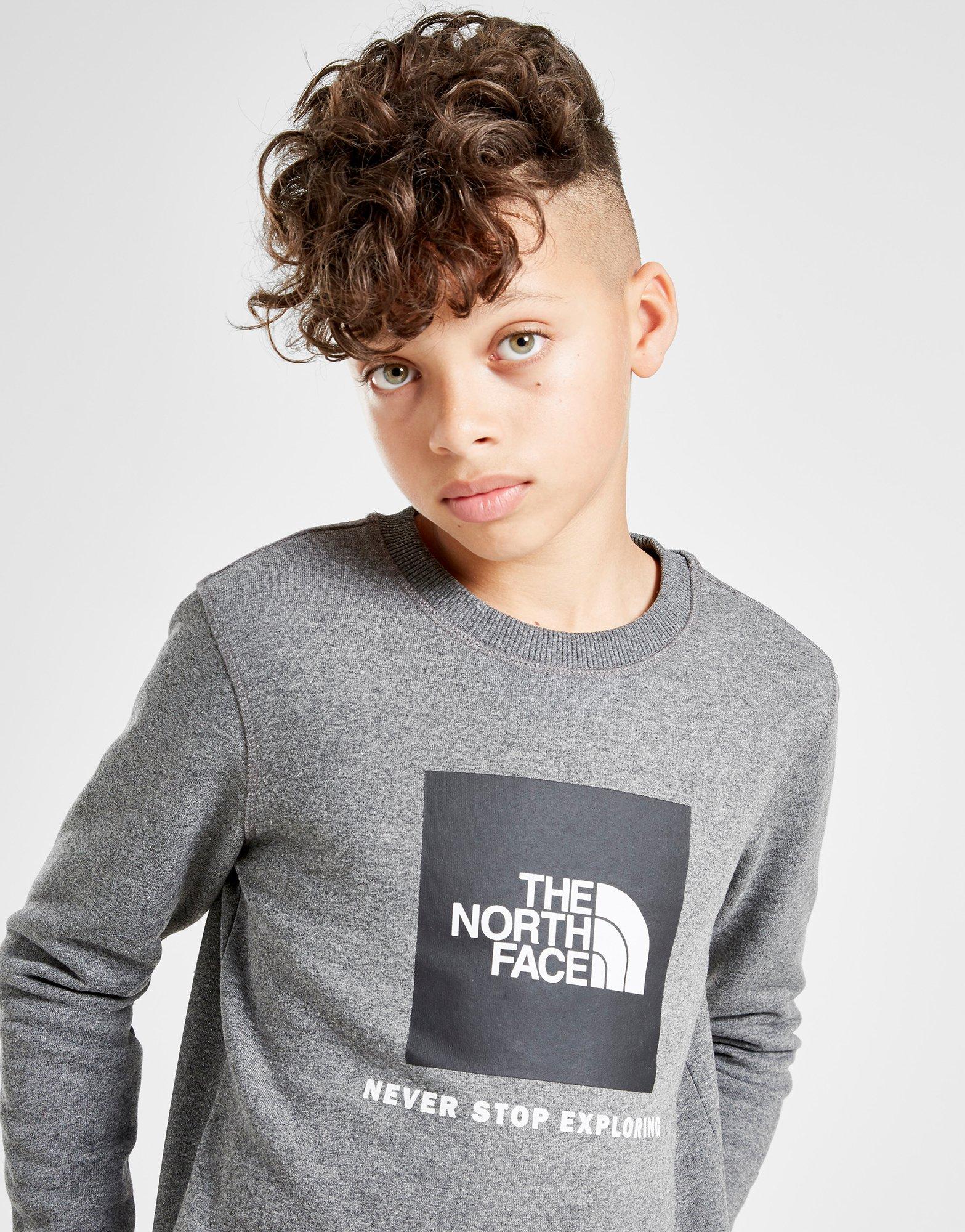 gray north face sweatshirt