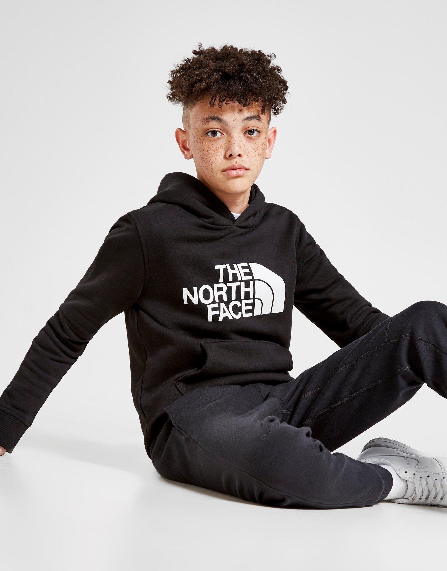 the north face drew peak overhead hoodie