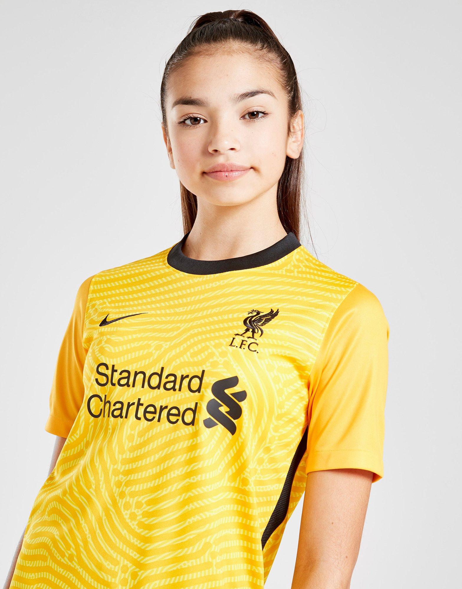 nike 2020 goalkeeper jersey