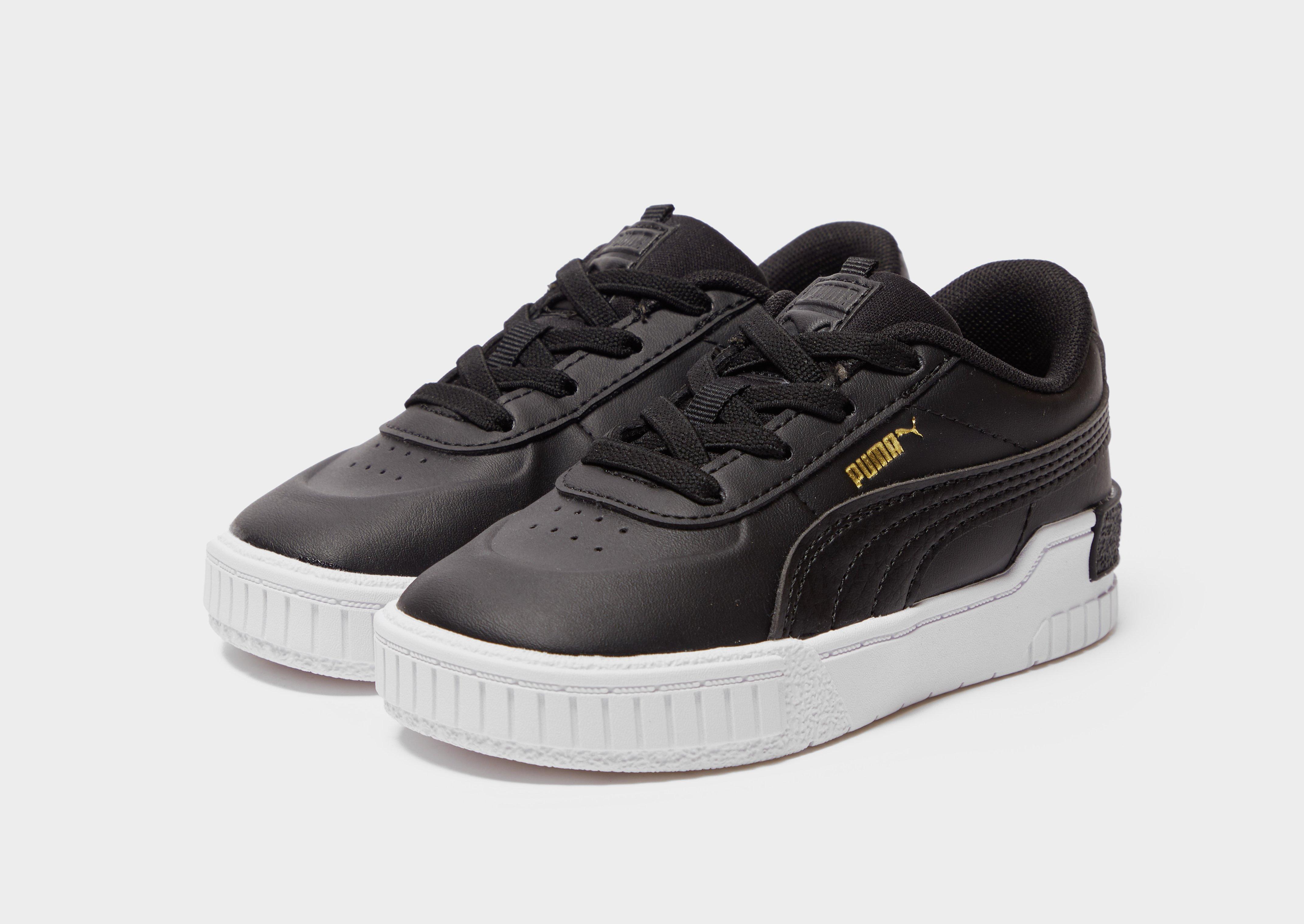infant puma cali