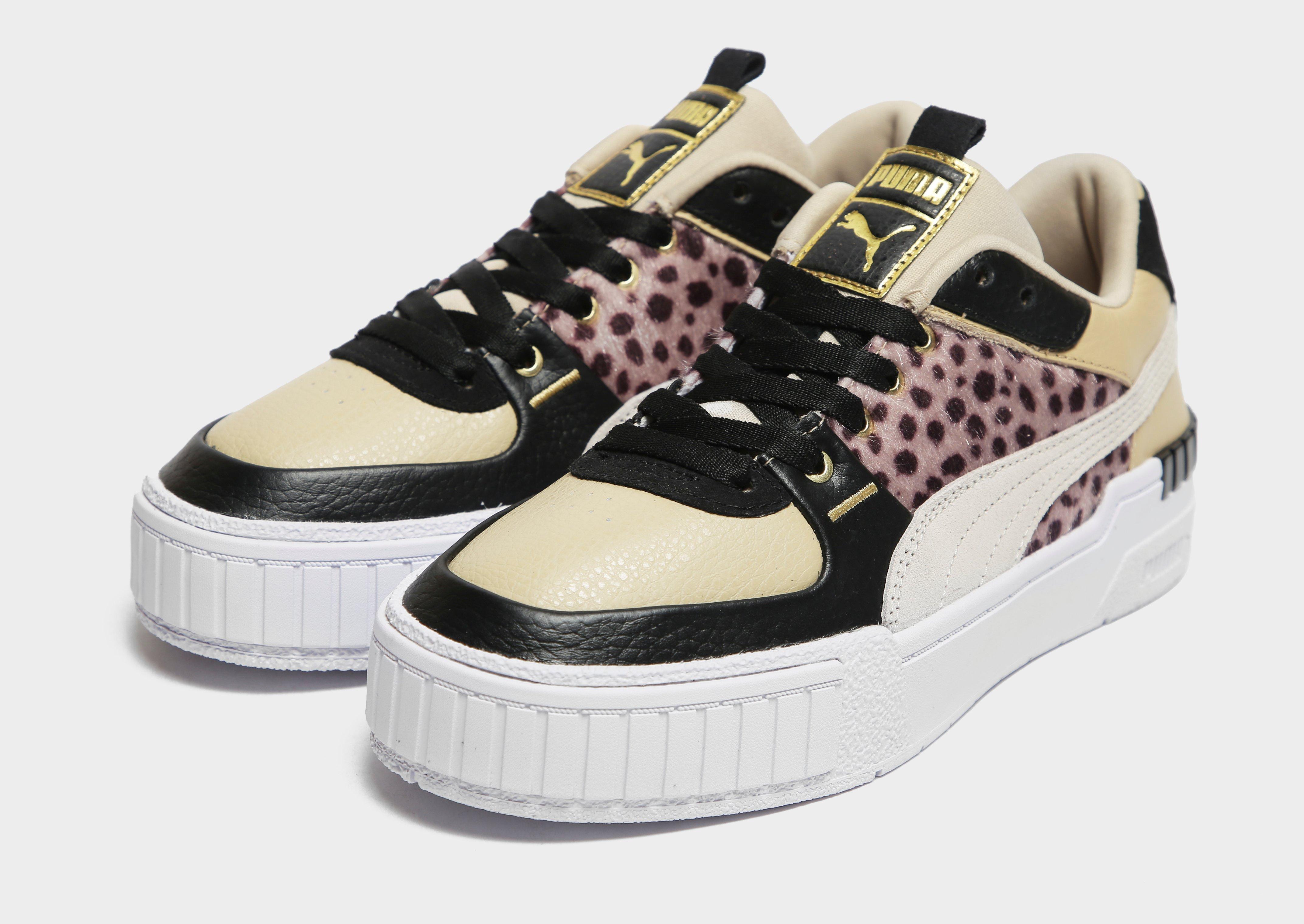cali sport cats