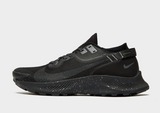 Nike Pegasus Trail 2 GORE-TEX