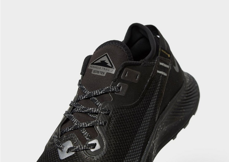 Nike Pegasus Trail 2 GORE-TEX