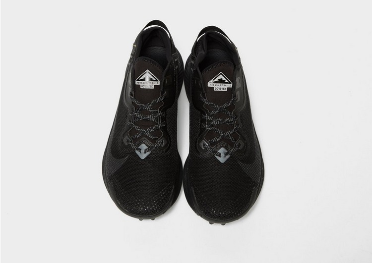 Nike Pegasus Trail 2 GORE-TEX