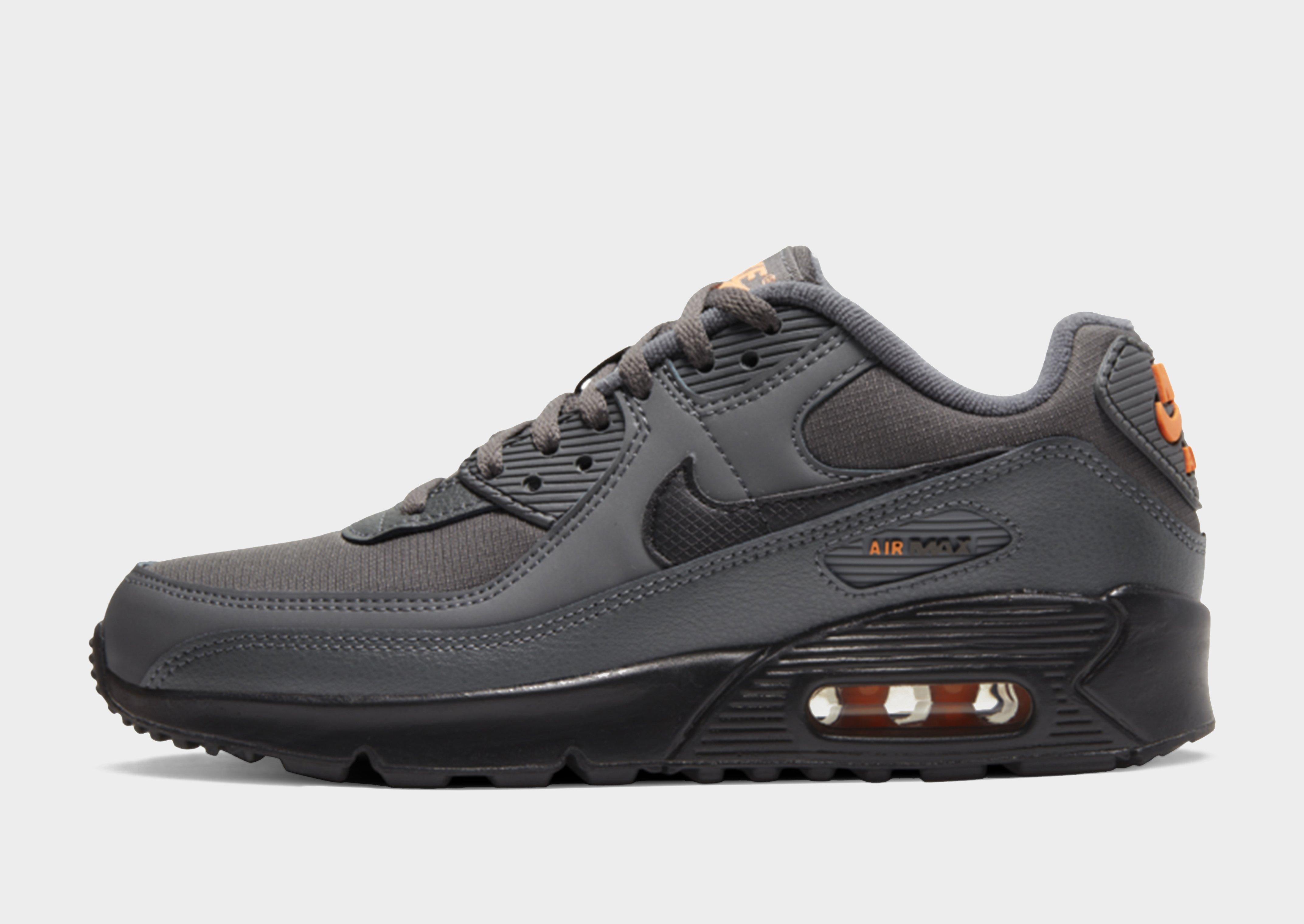 Grey Nike Air Max 90 Junior | JD Sports