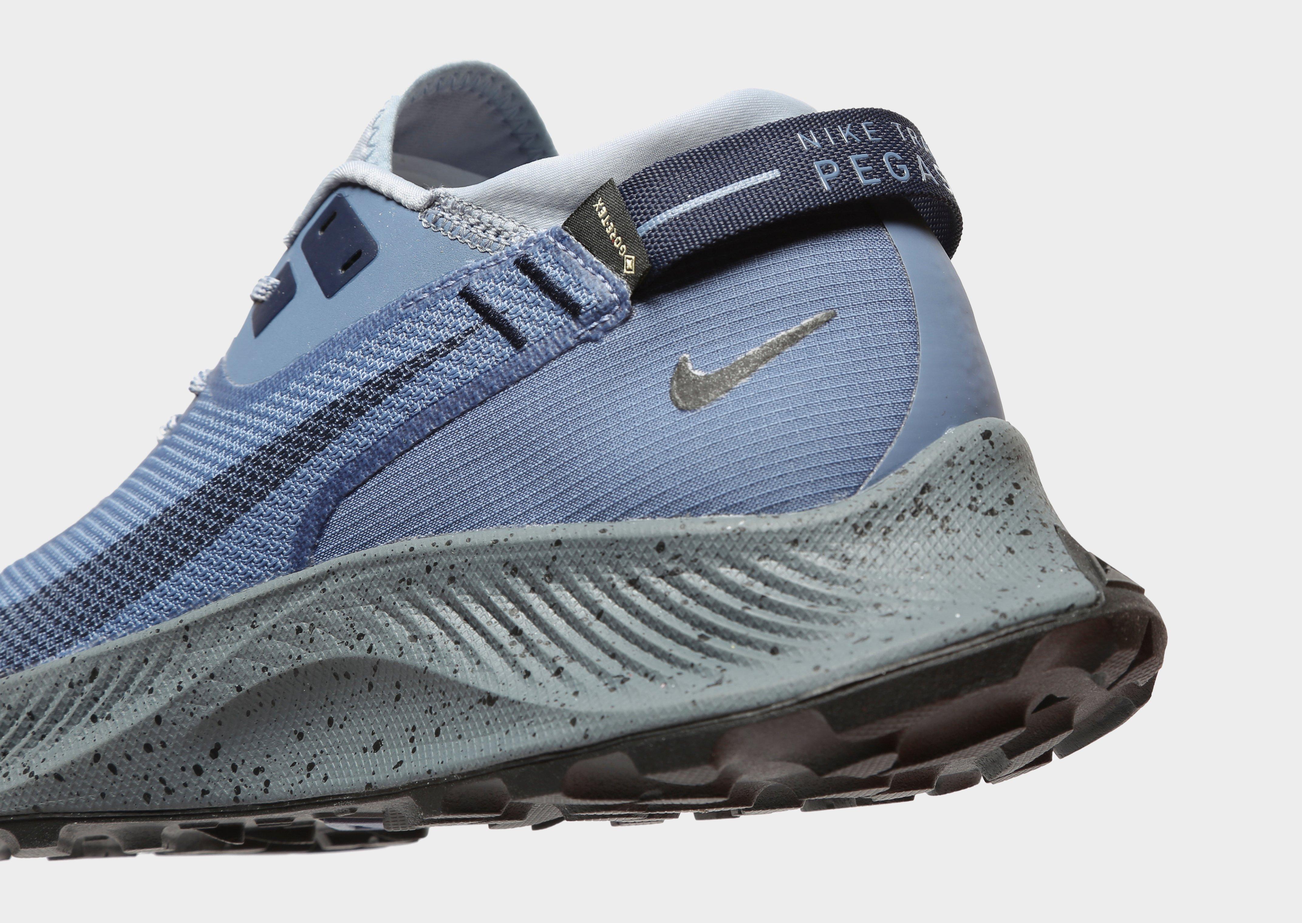 Nike gtx кроссовки. Nike Trail Gore-Tex. Найк Пегасус гортекс. Nike Gore Tex. Nike Pegasus Gore Tex.
