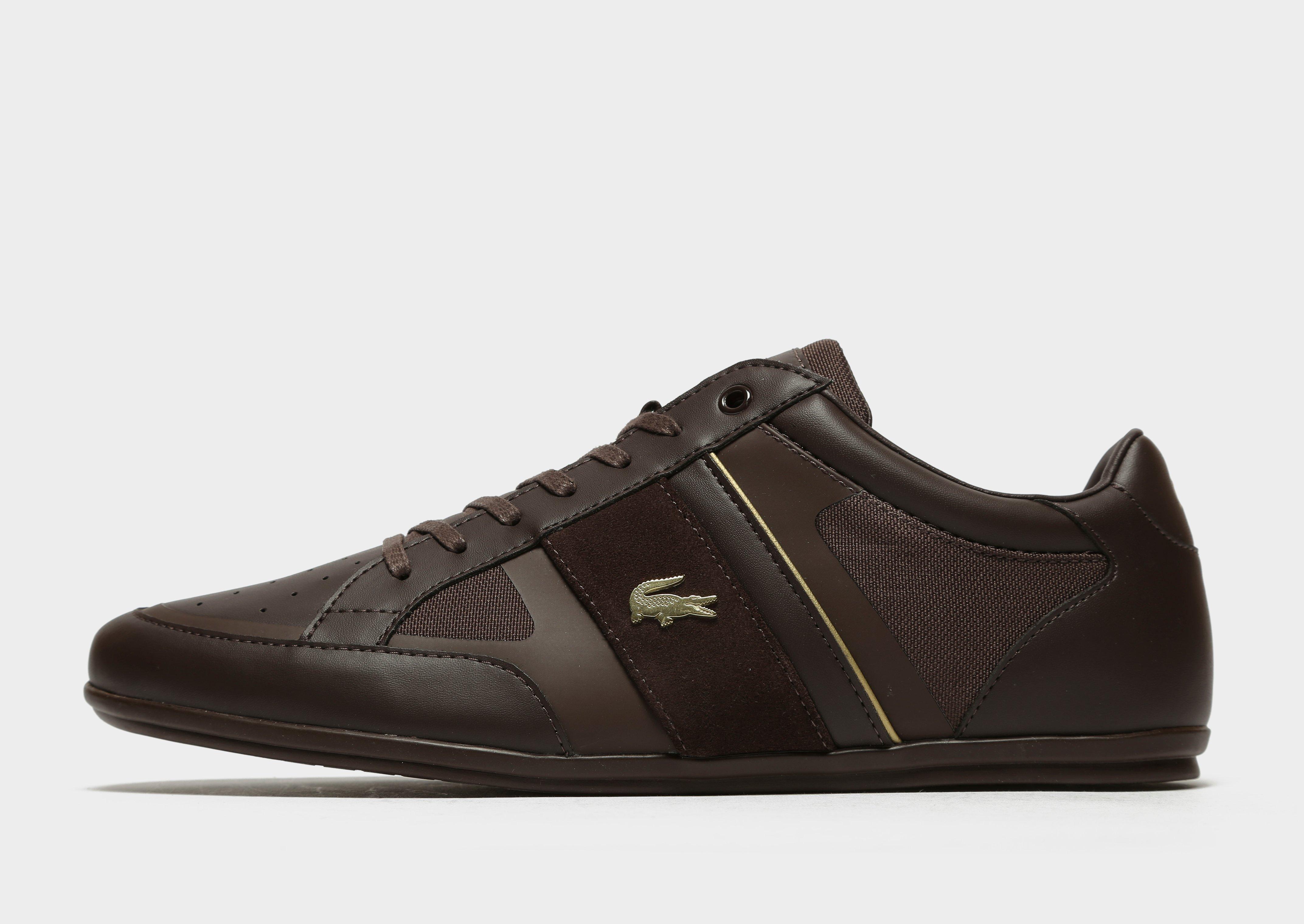 lacoste chaymon brown