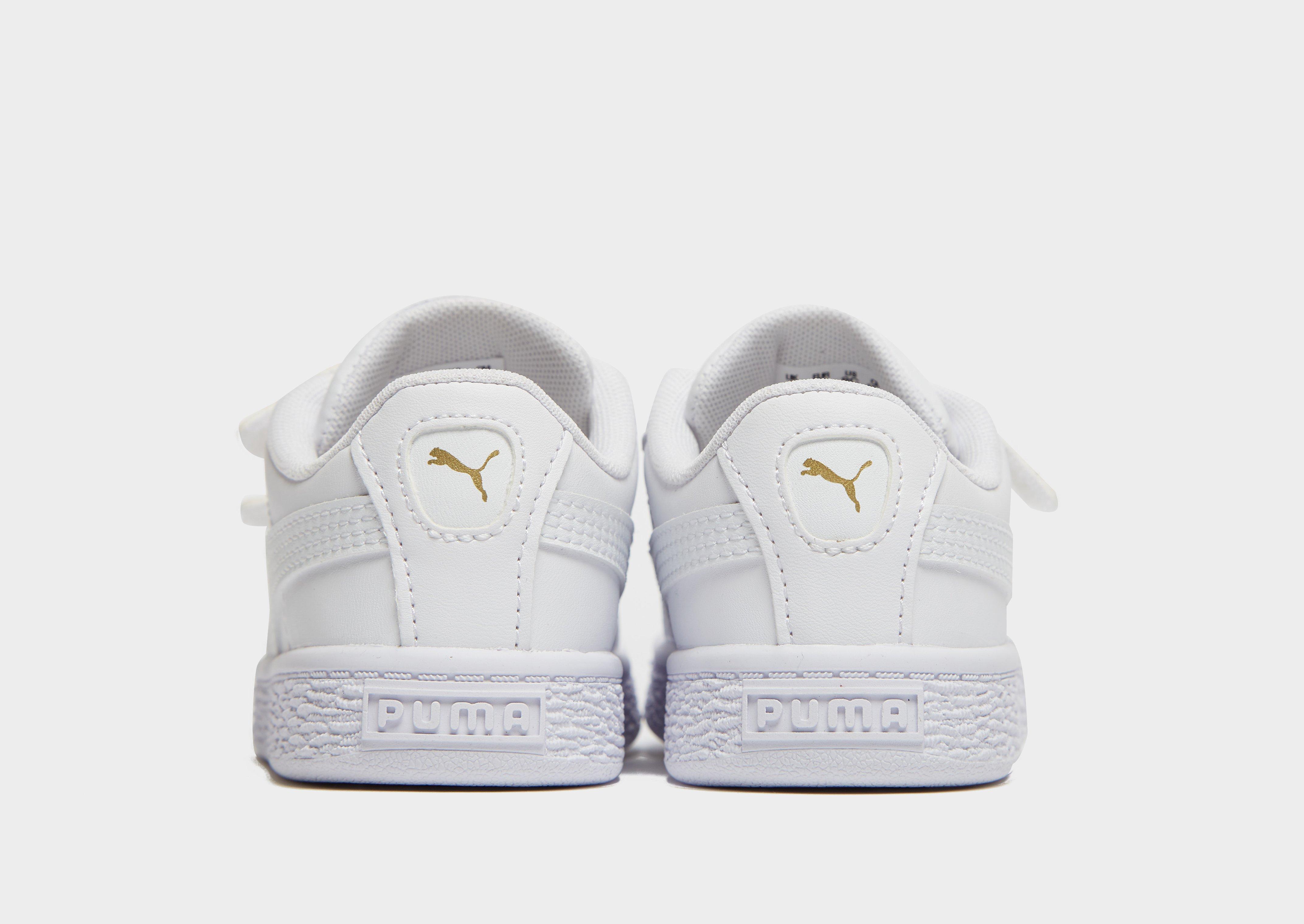 puma basket infant