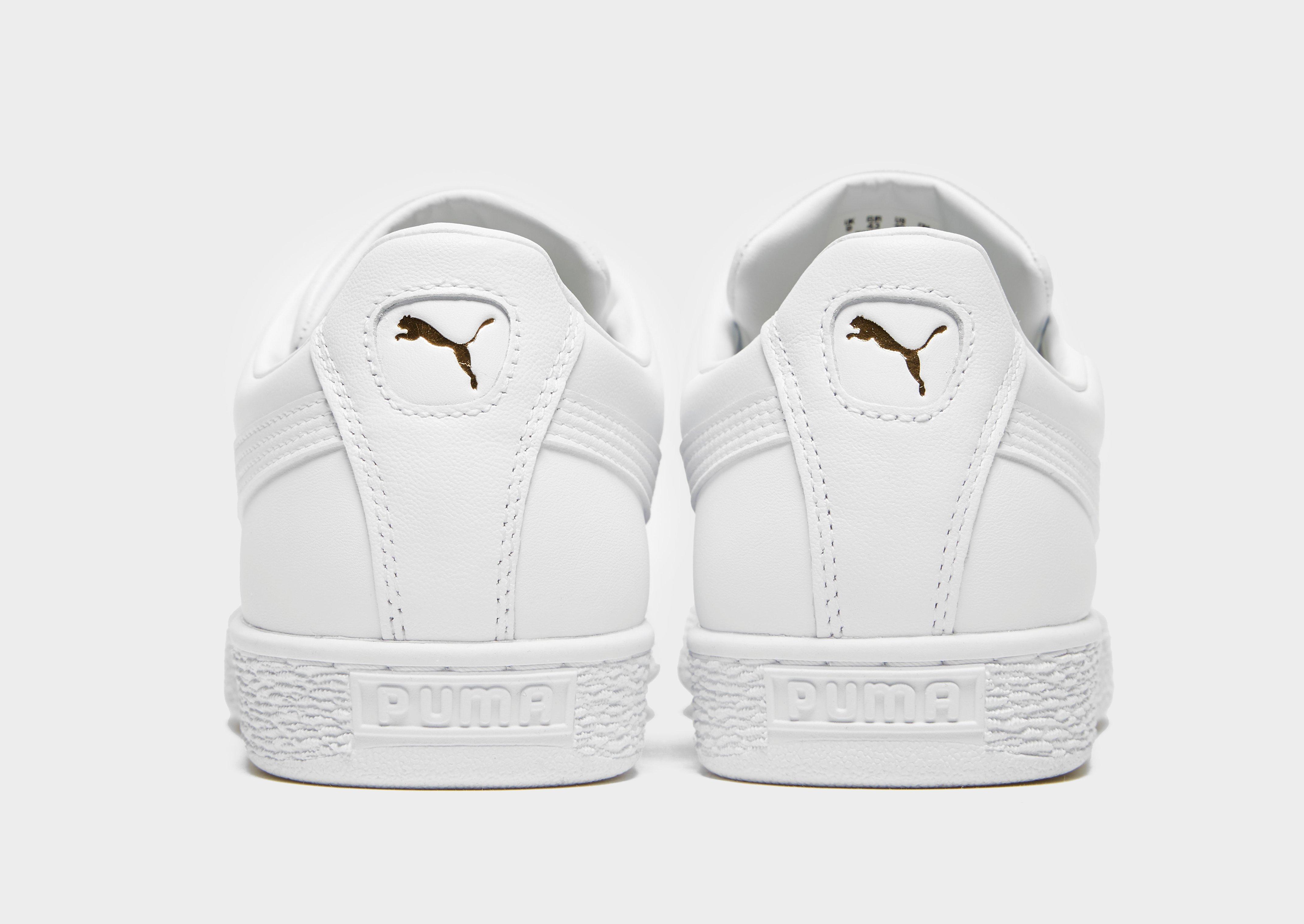 basket classic homme