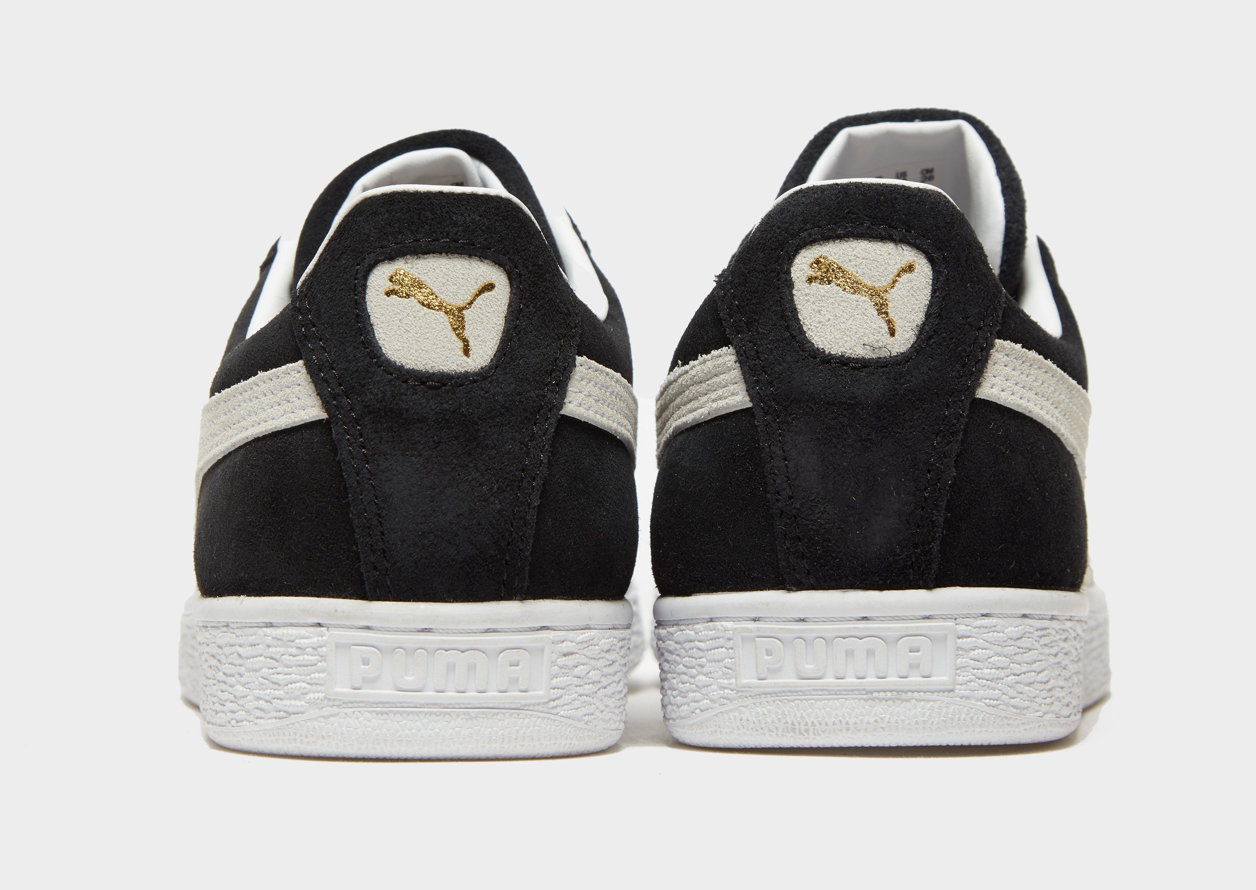 puma suede back