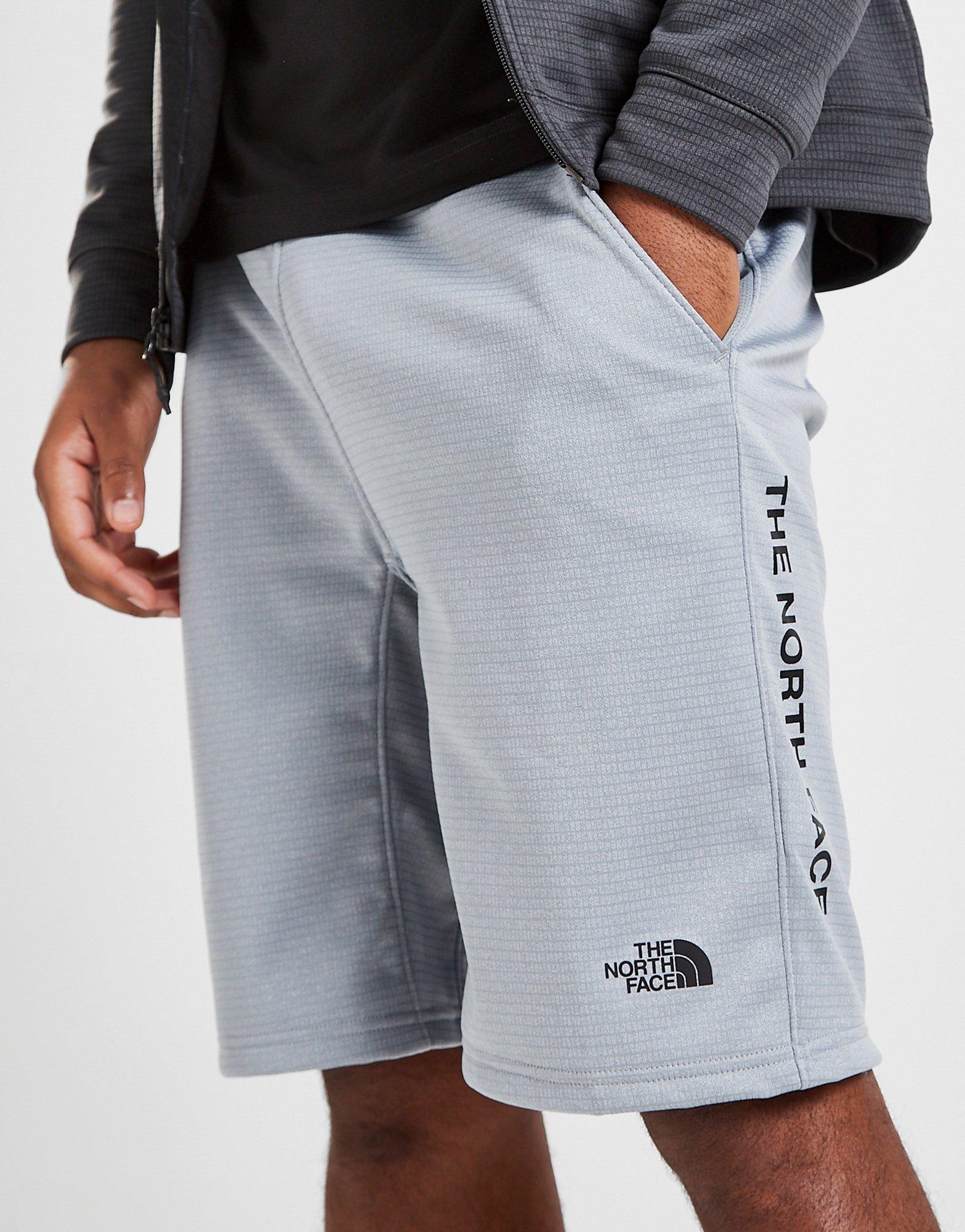 the north face shorts grey