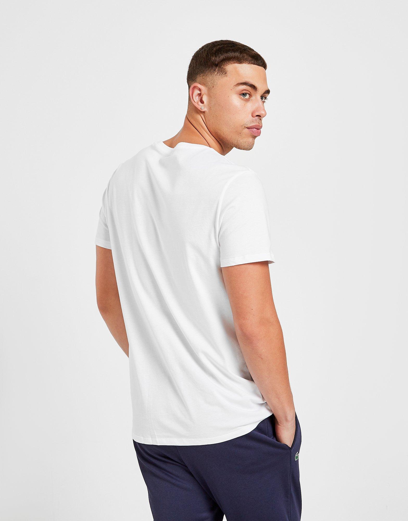 3 pack lacoste t shirts