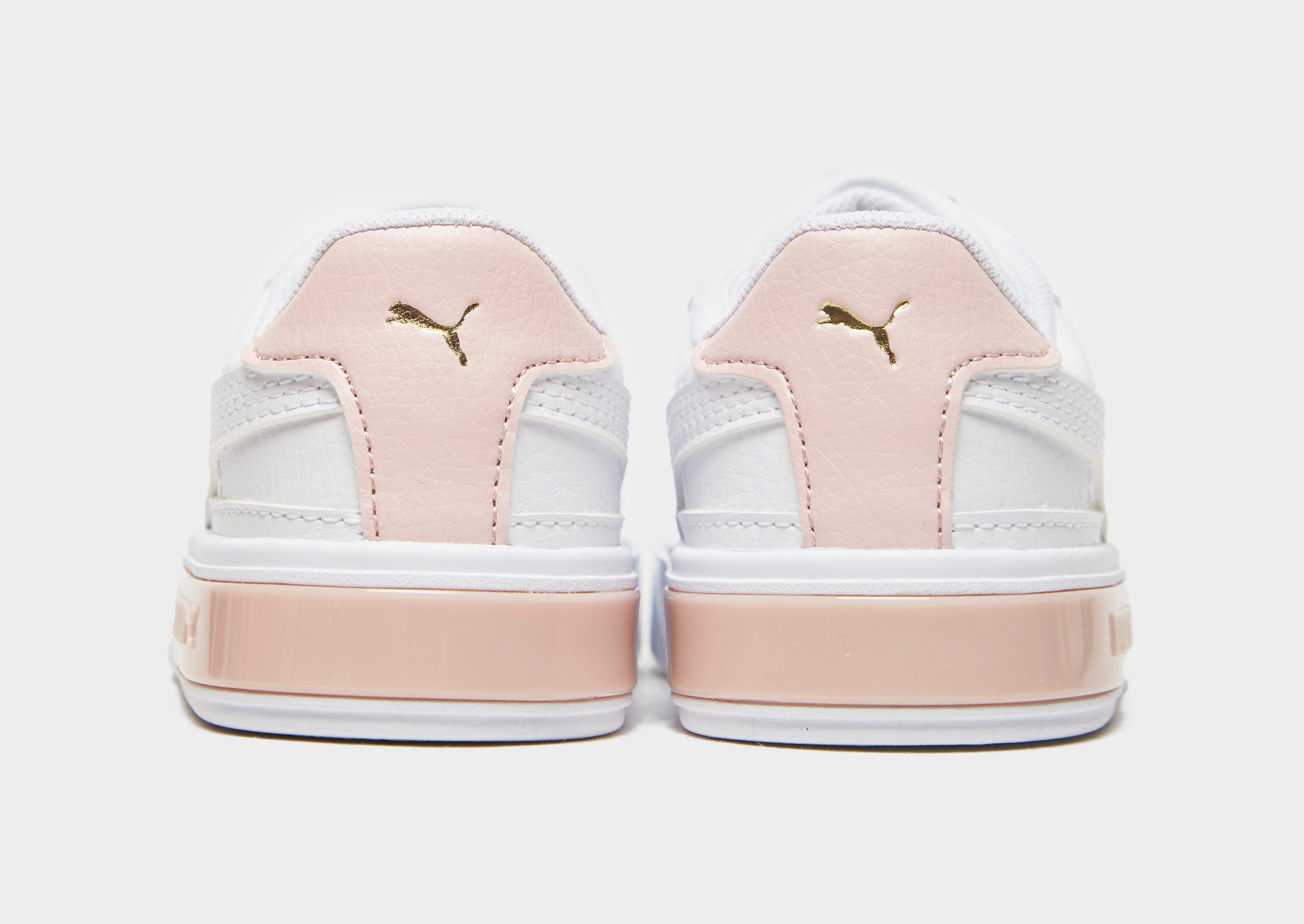 infant puma cali