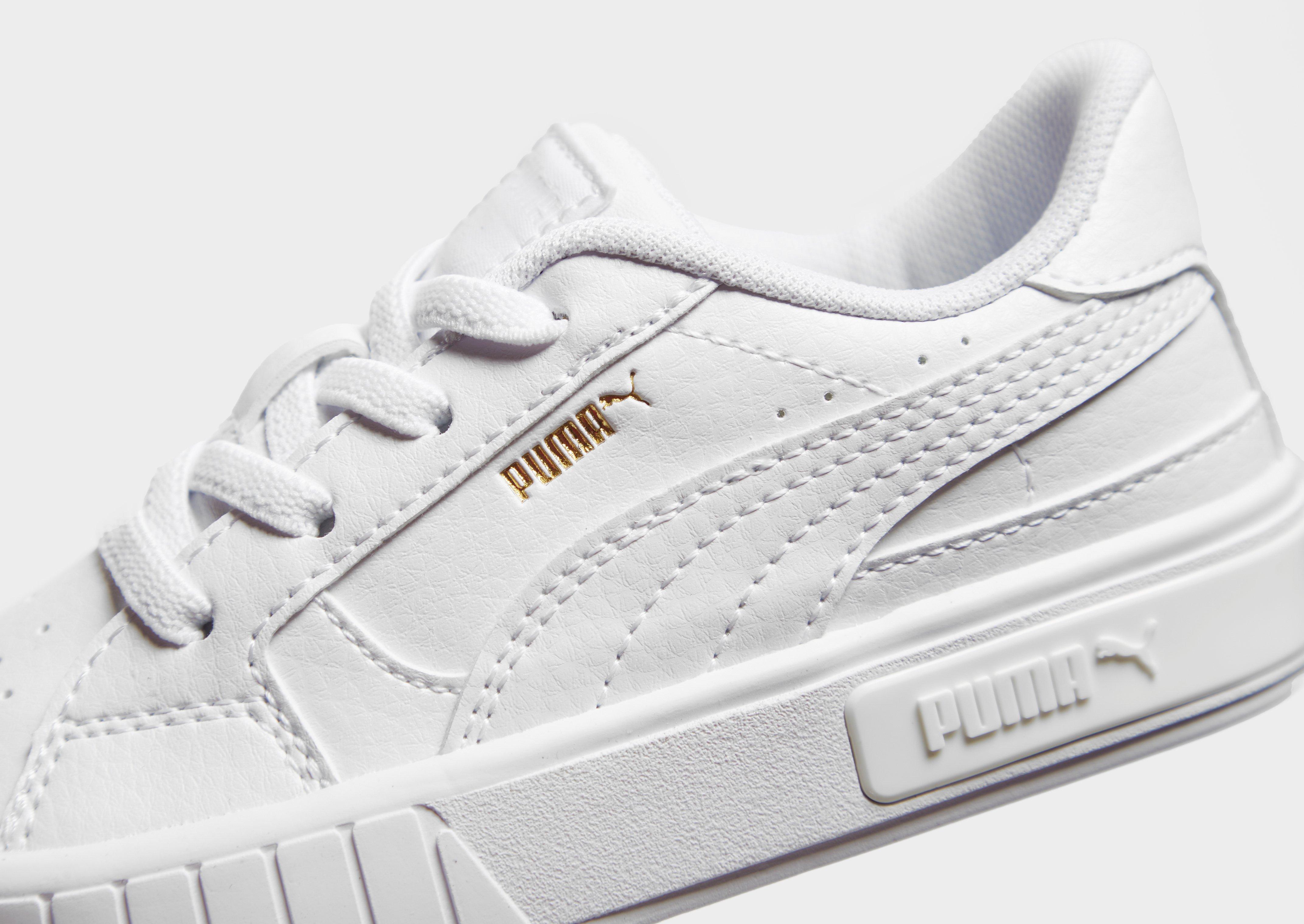 infant puma cali